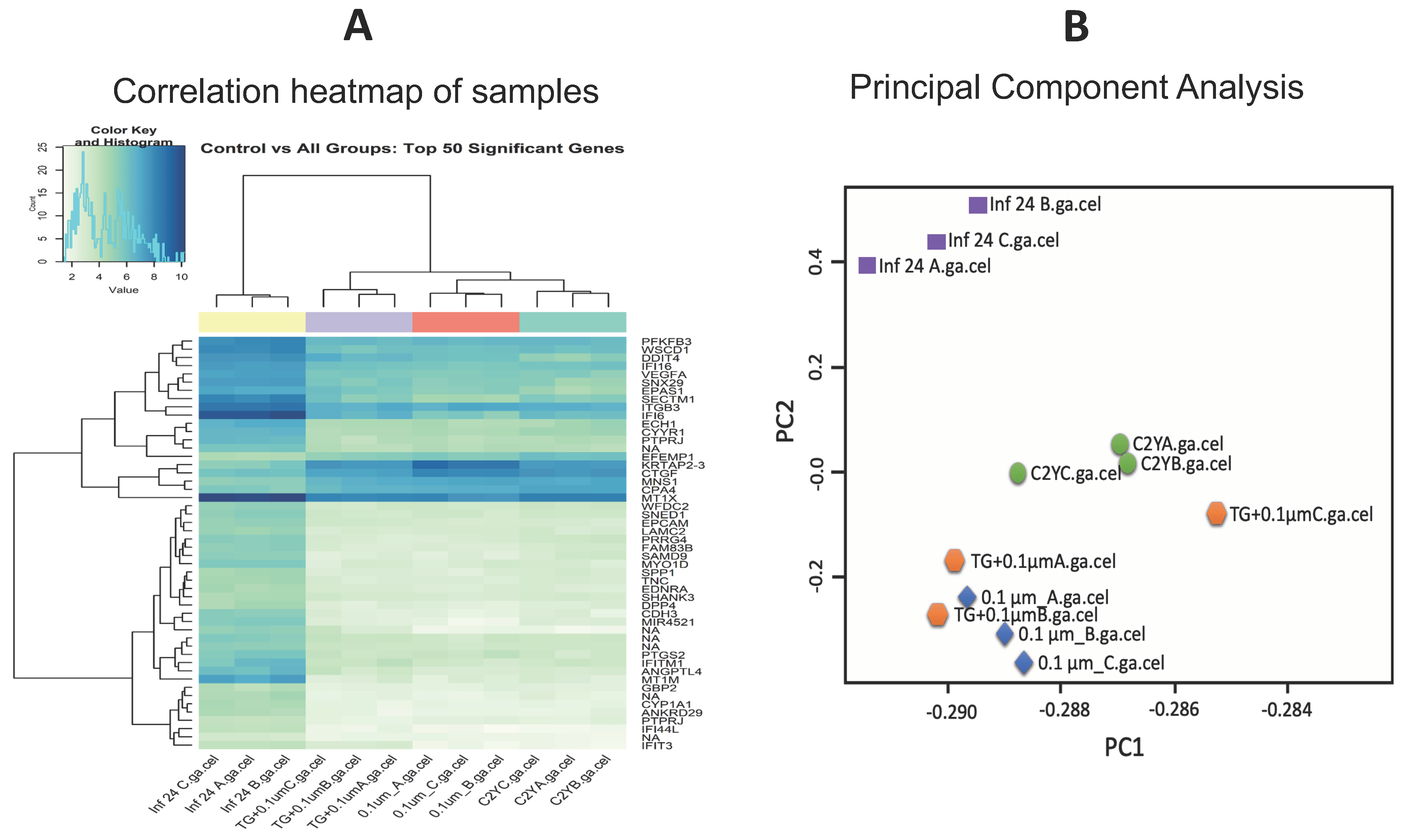Microorganisms 08 00842 g004 Microorganisms 08 00842 g004