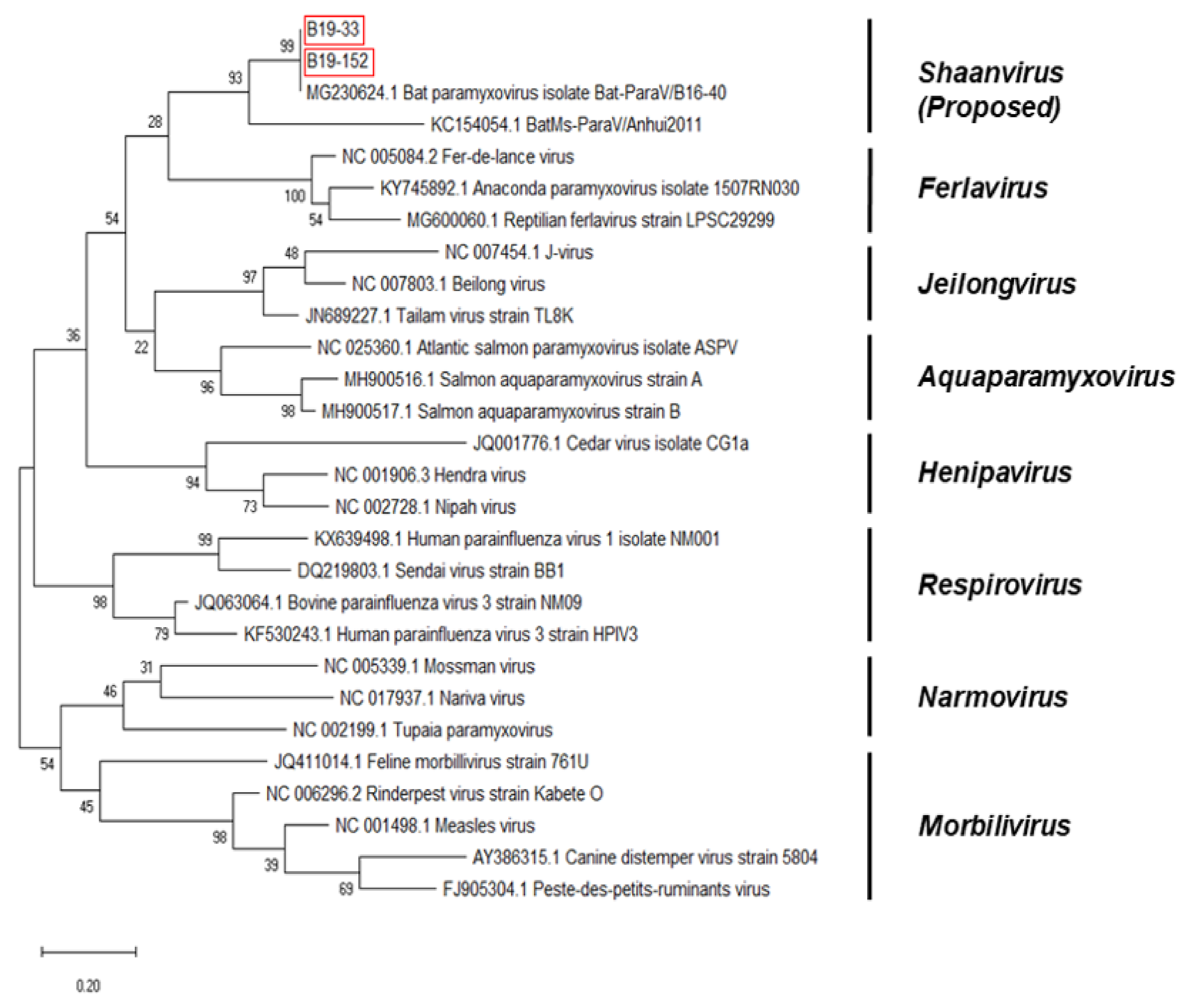 Microorganisms 08 00844 g003