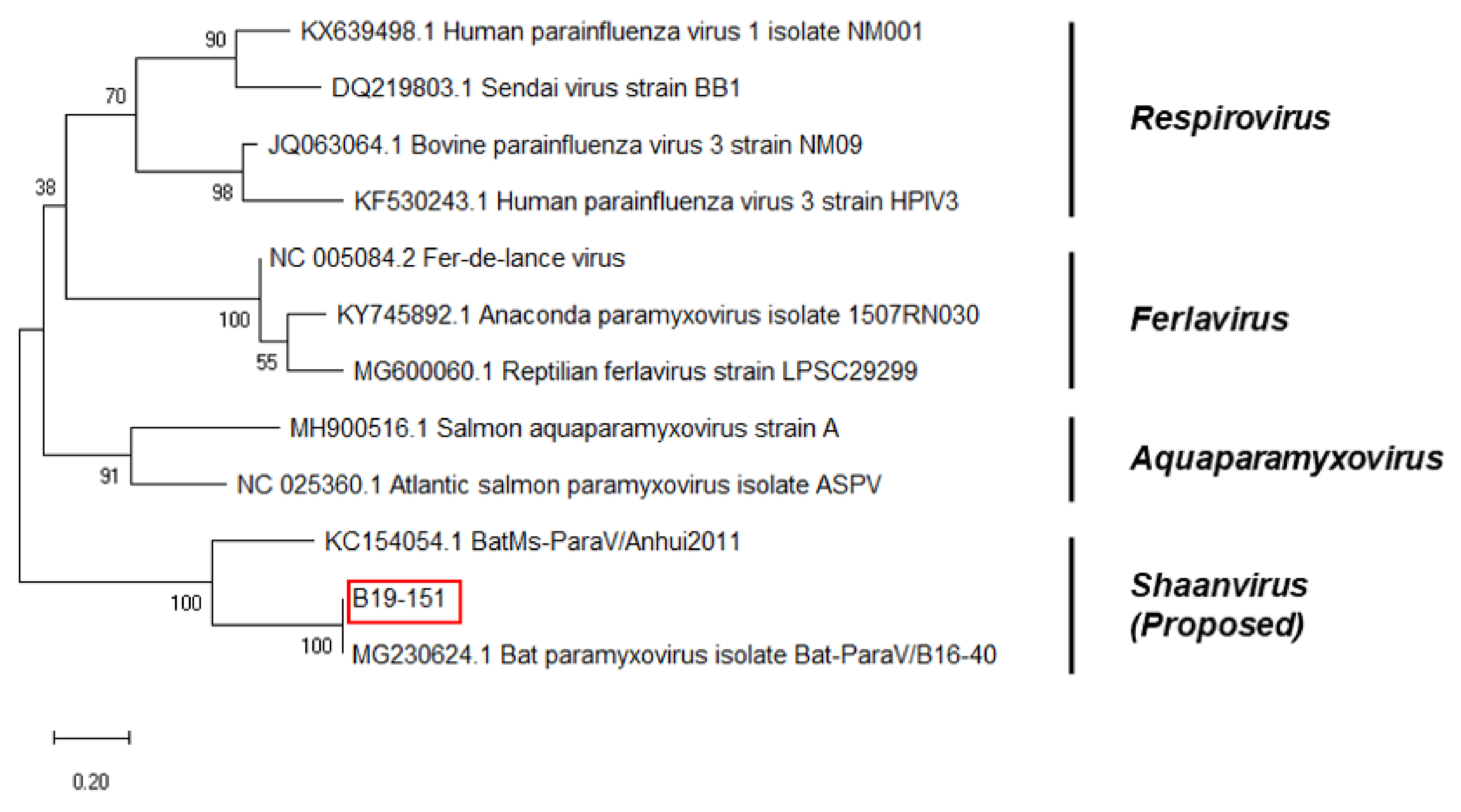 Microorganisms 08 00844 g004