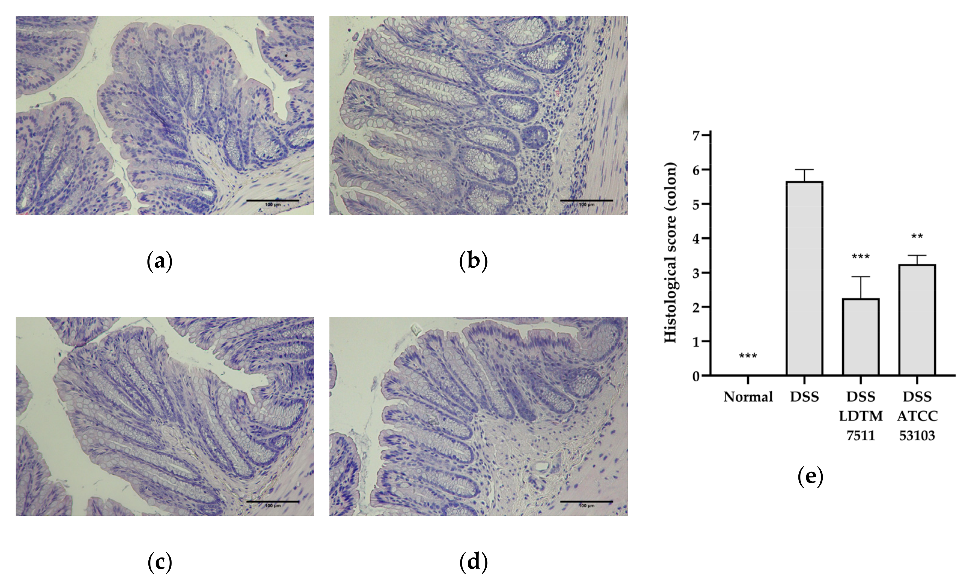 Microorganisms 08 00845 g003 Microorganisms 08 00845 g003
