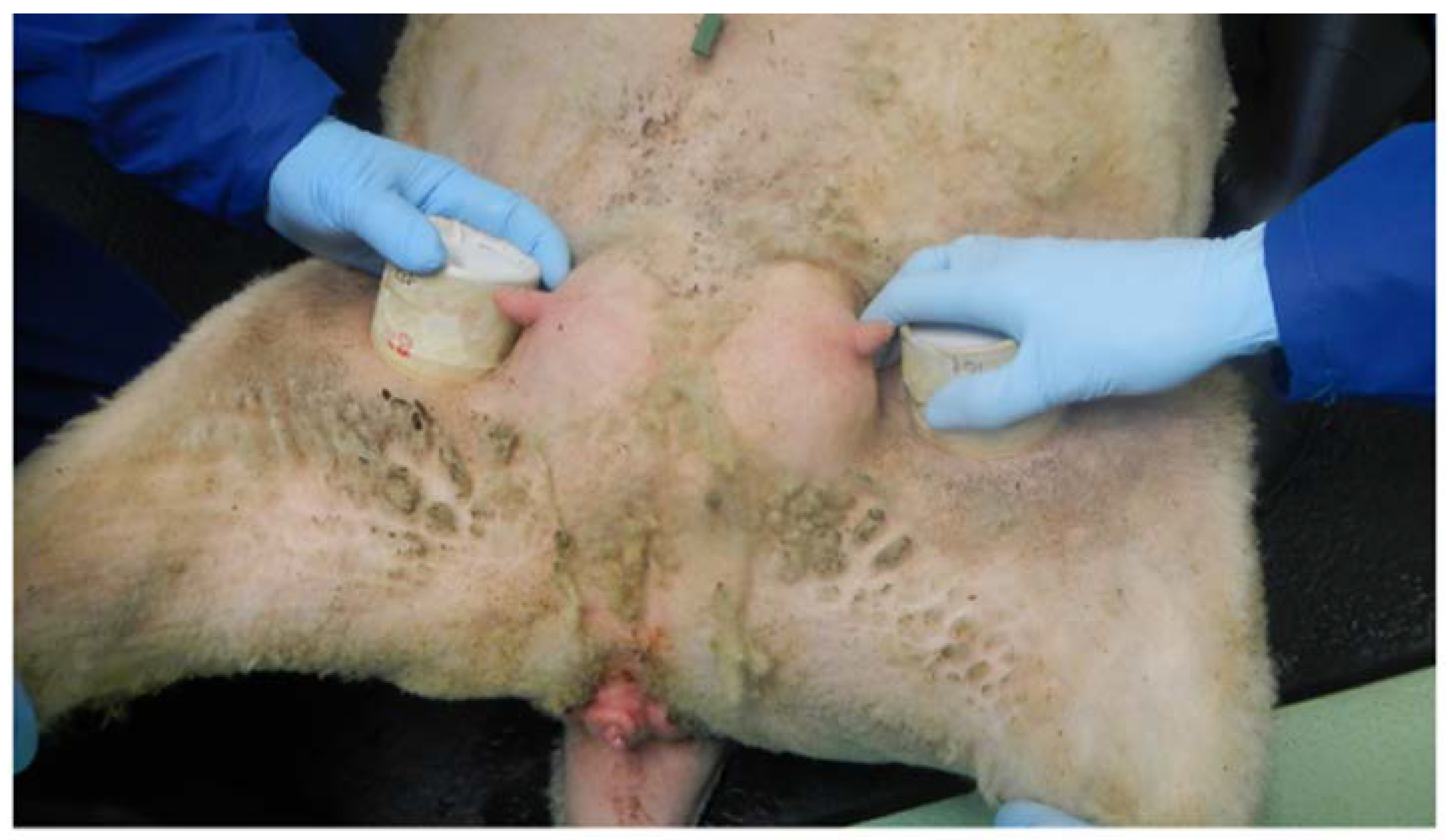 Microorganisms 08 00851 g001