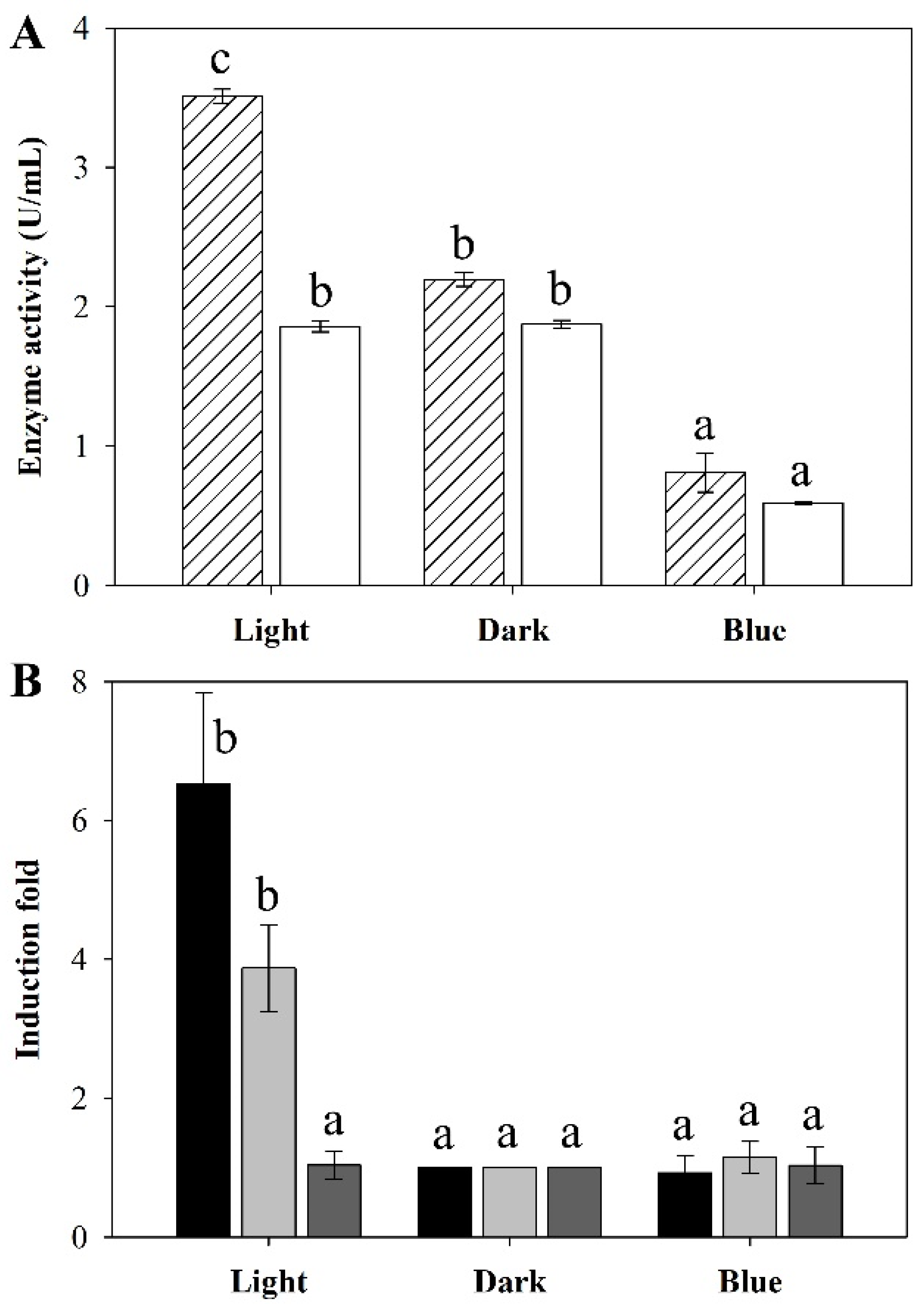 Microorganisms 08 00852 g005