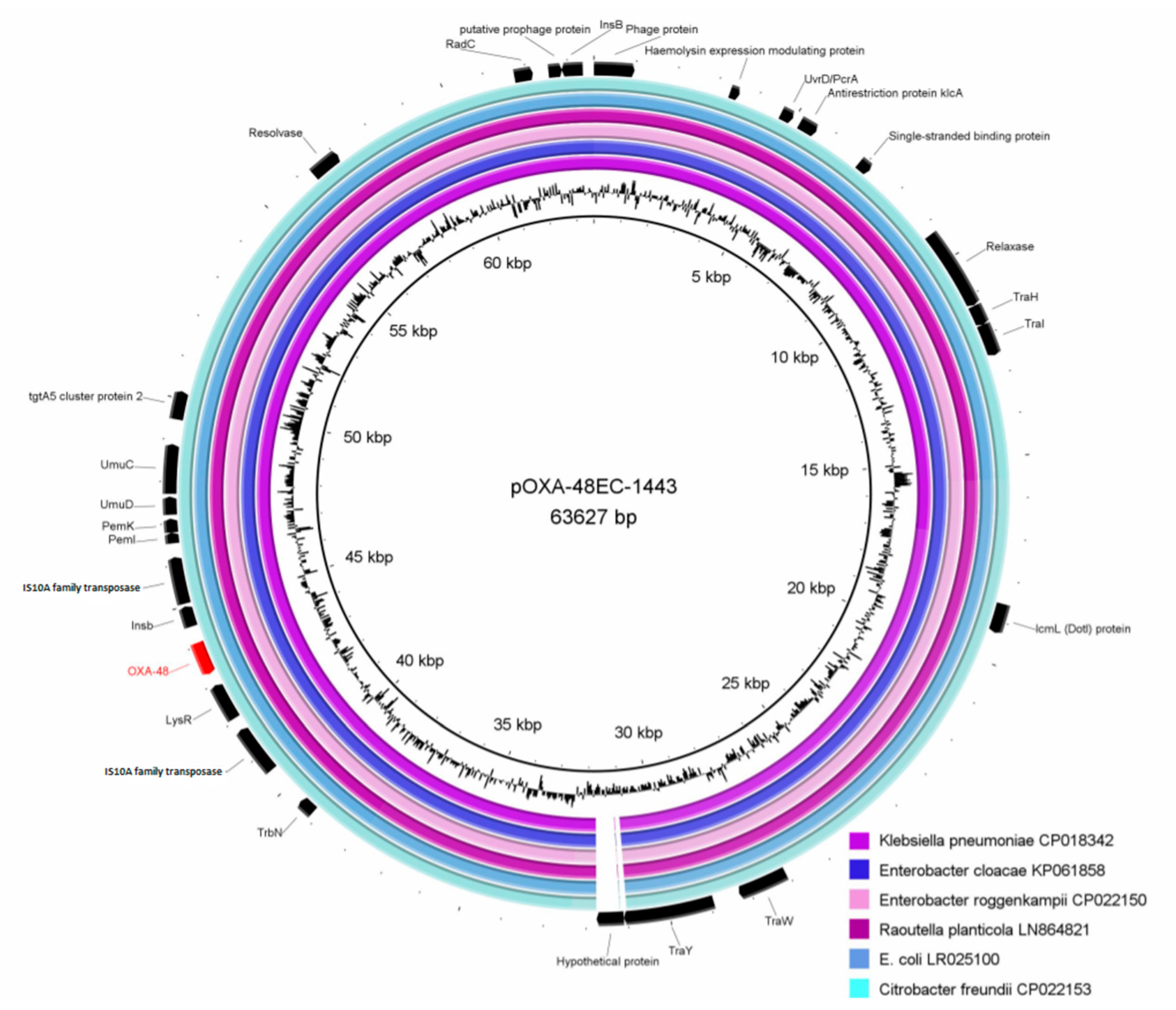 Microorganisms 08 00855 g001