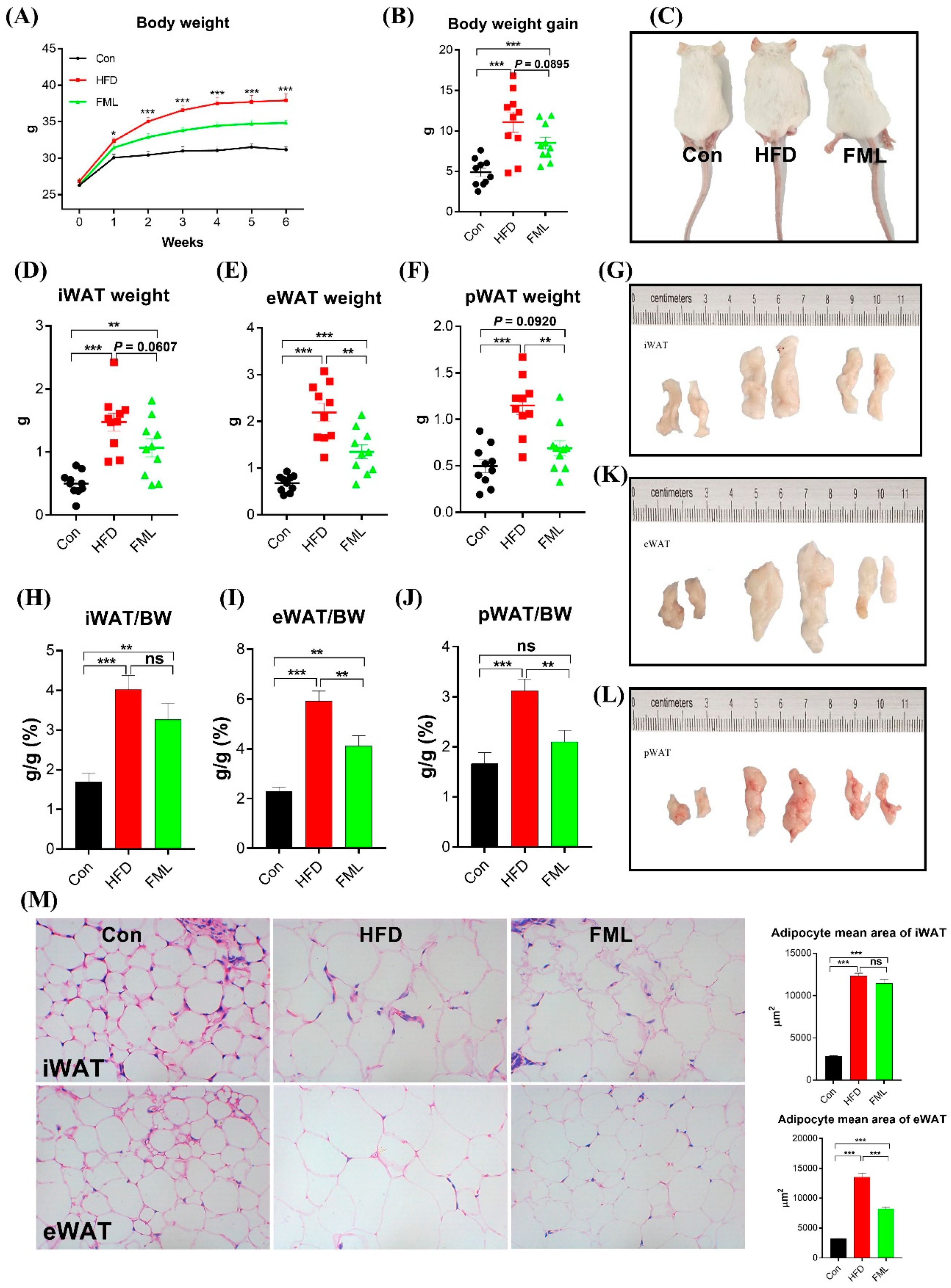 Microorganisms 08 00860 g001