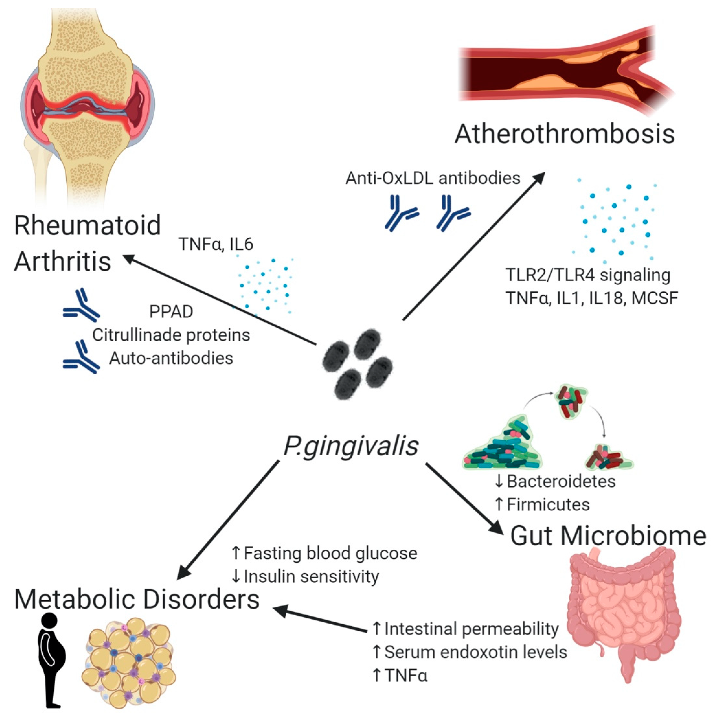 Microorganisms 08 00869 g001 Microorganisms 08 00869 g001