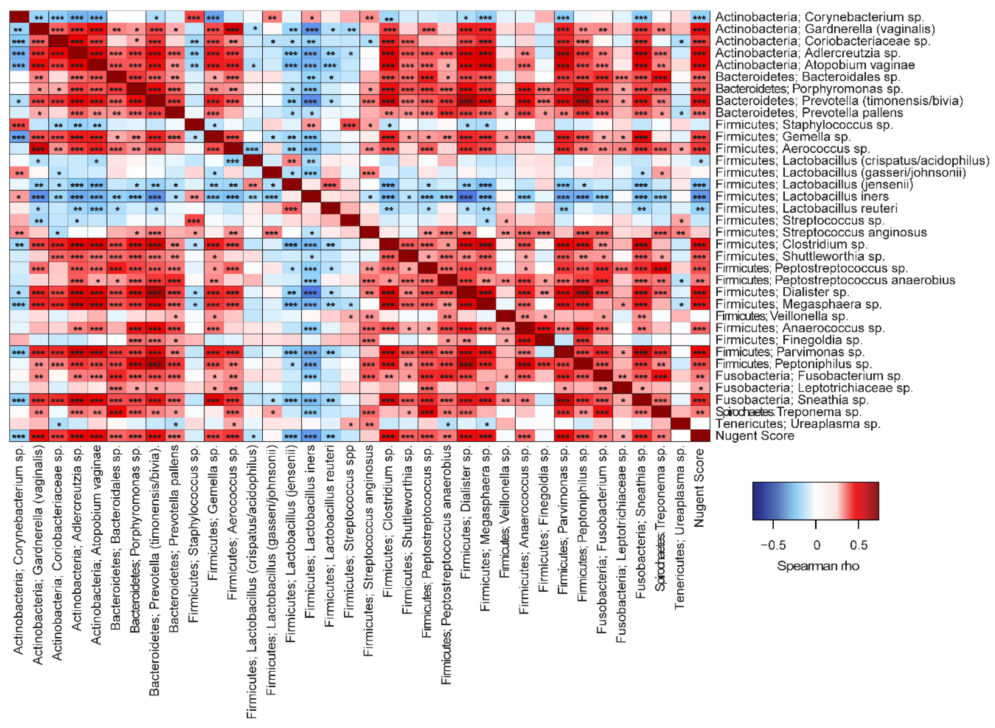 Microorganisms 08 00875 g007