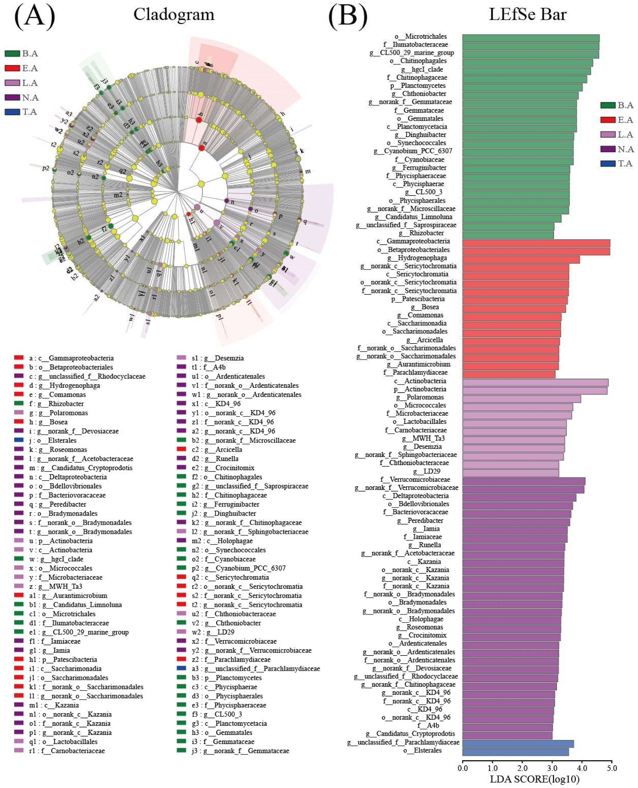 Microorganisms 08 00883 g003