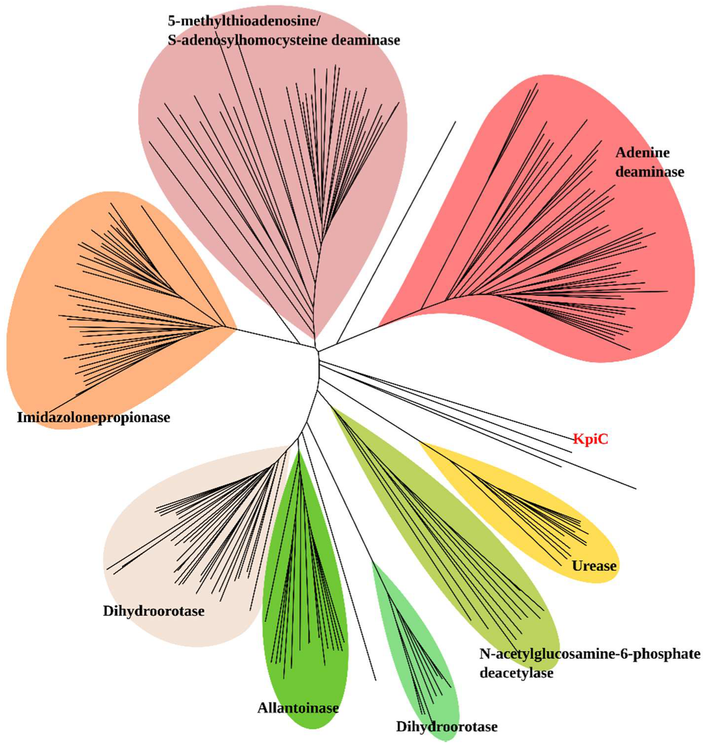 Microorganisms 08 00888 g004 Microorganisms 08 00888 g004