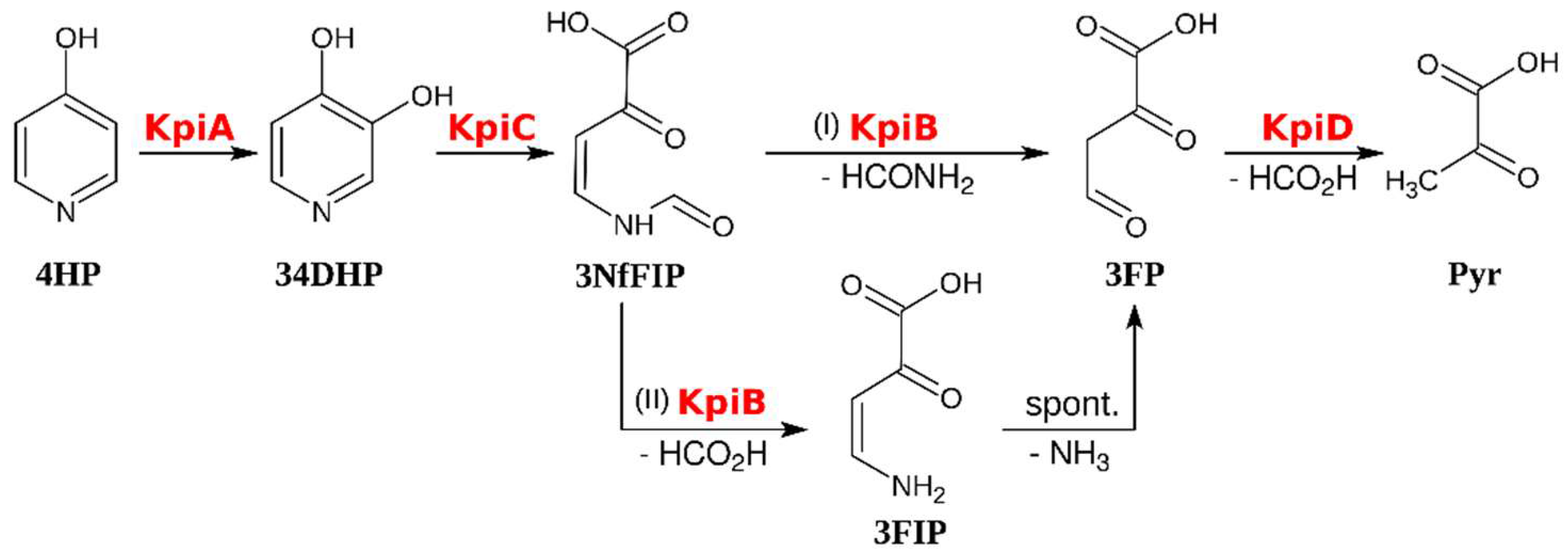 Microorganisms 08 00888 g005 Microorganisms 08 00888 g005