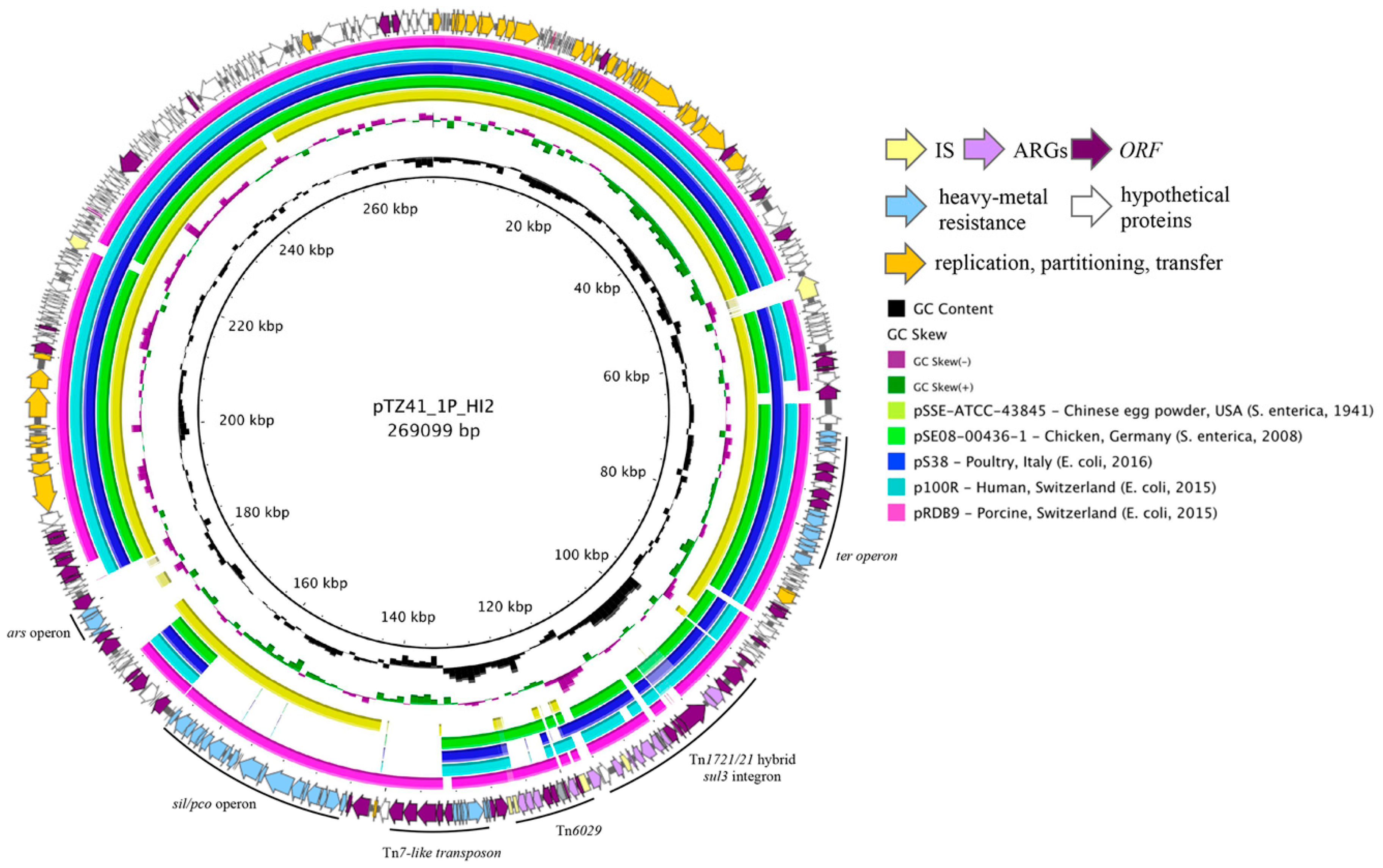 Microorganisms 08 00896 g001