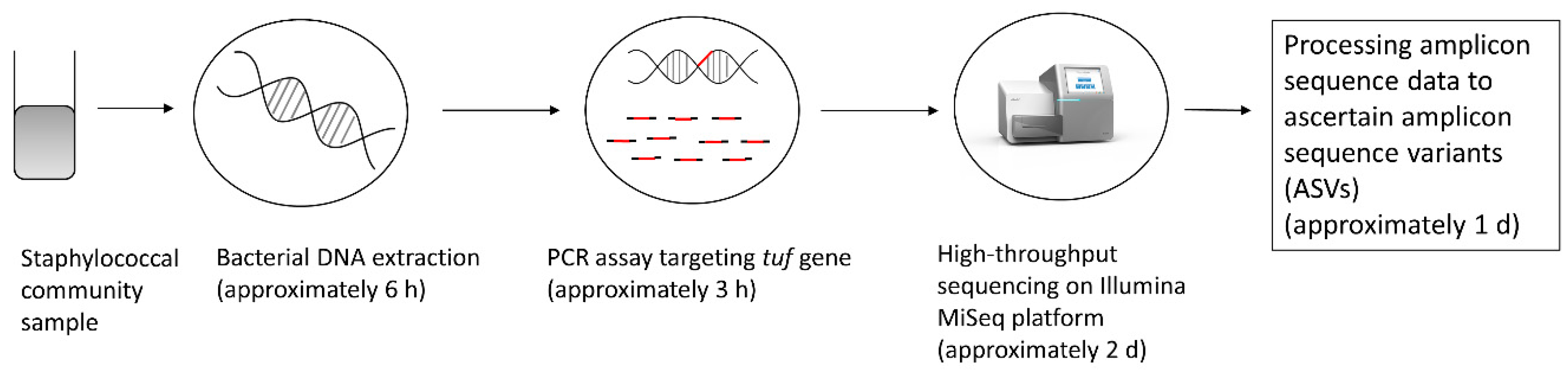 Microorganisms 08 00897 g002
