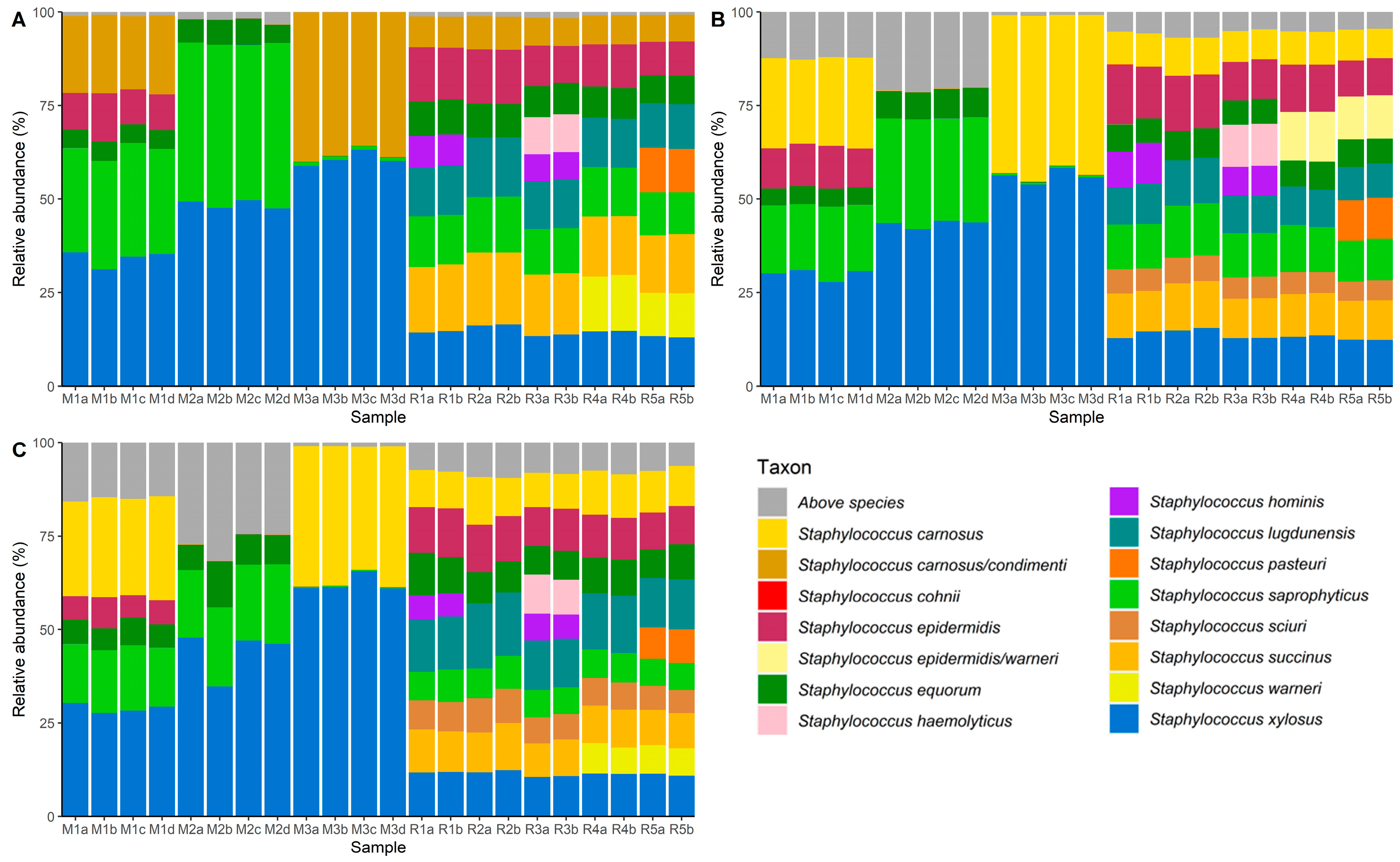 Microorganisms 08 00897 g003