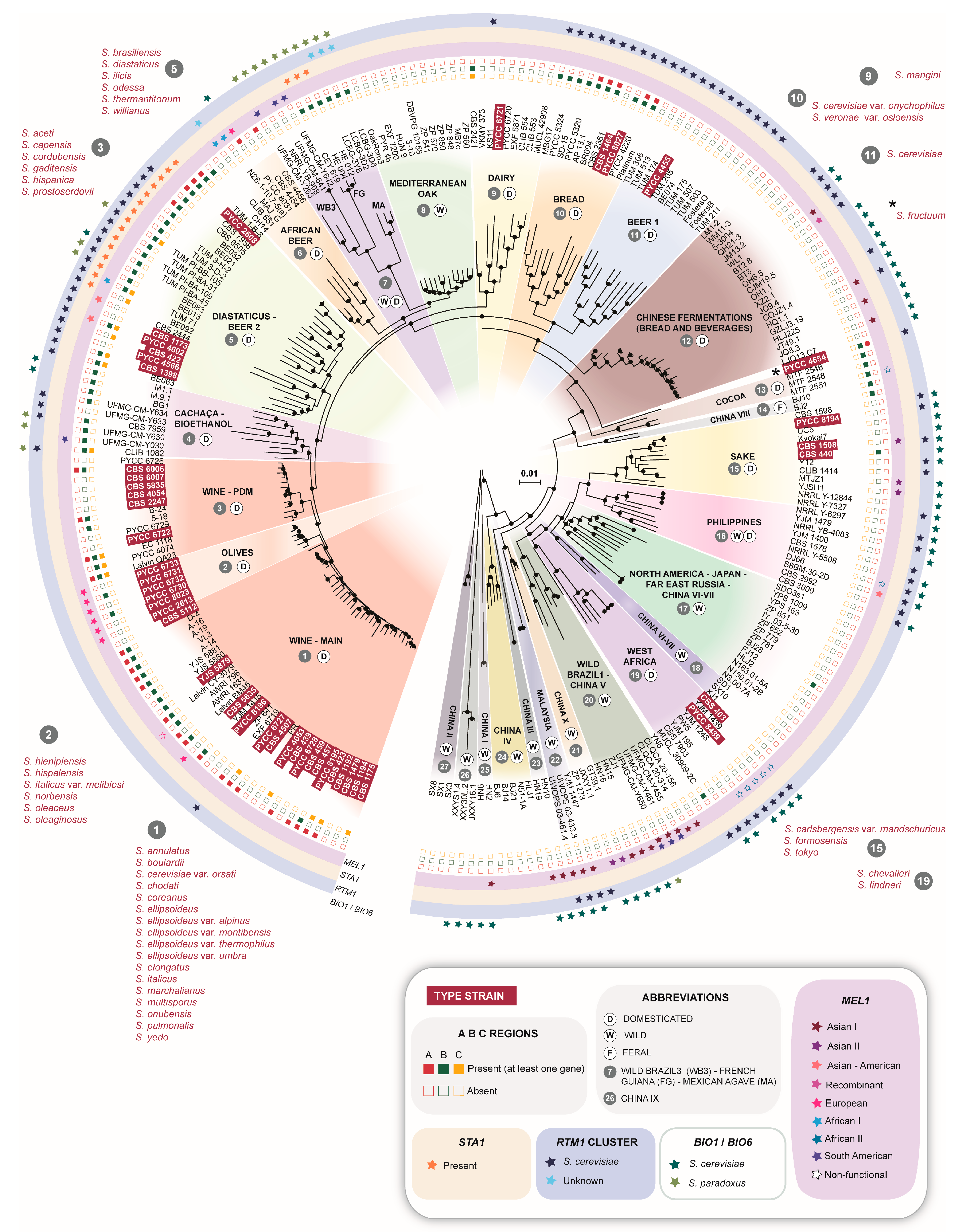 Microorganisms 08 00903 g001