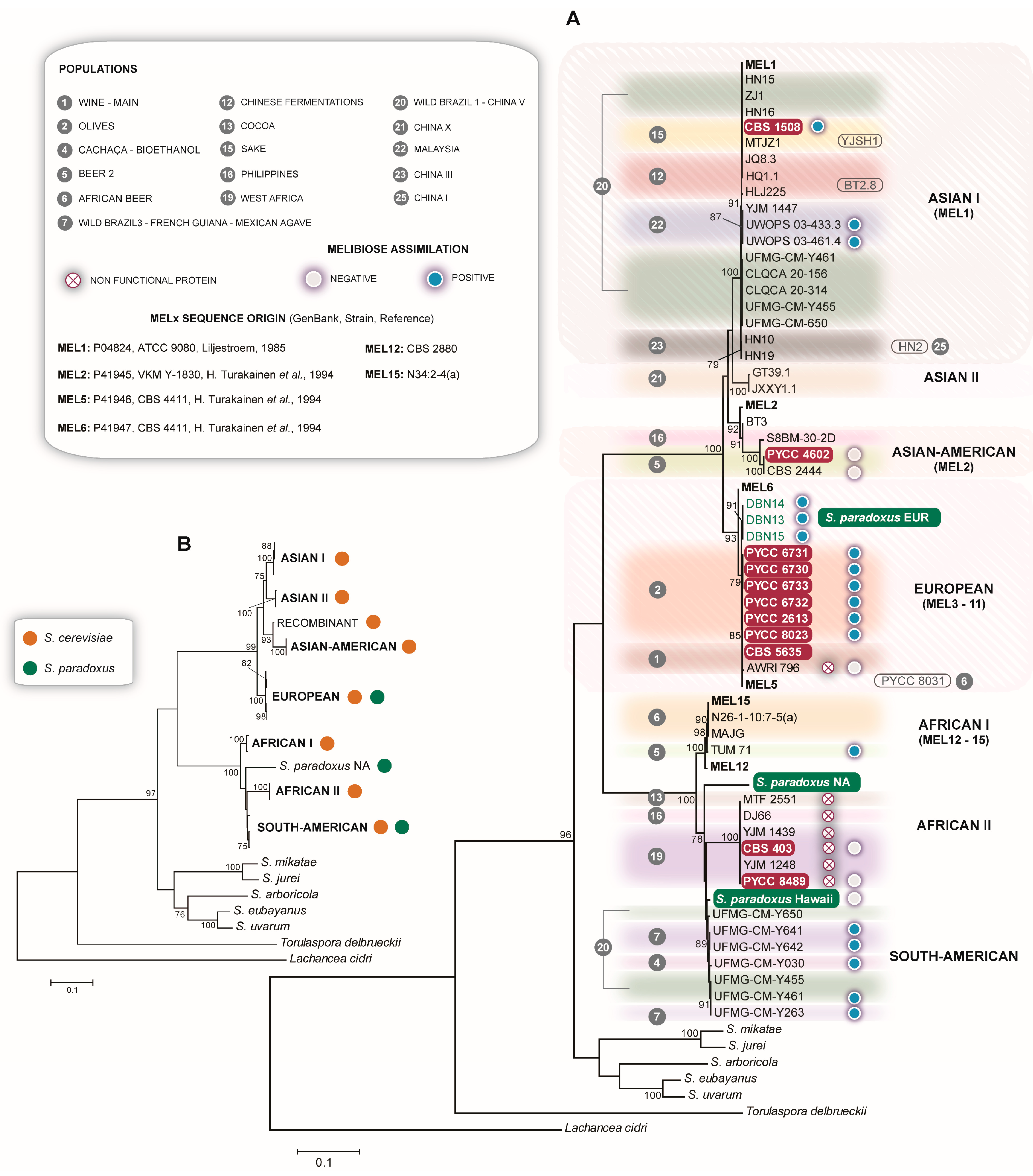 Microorganisms 08 00903 g004