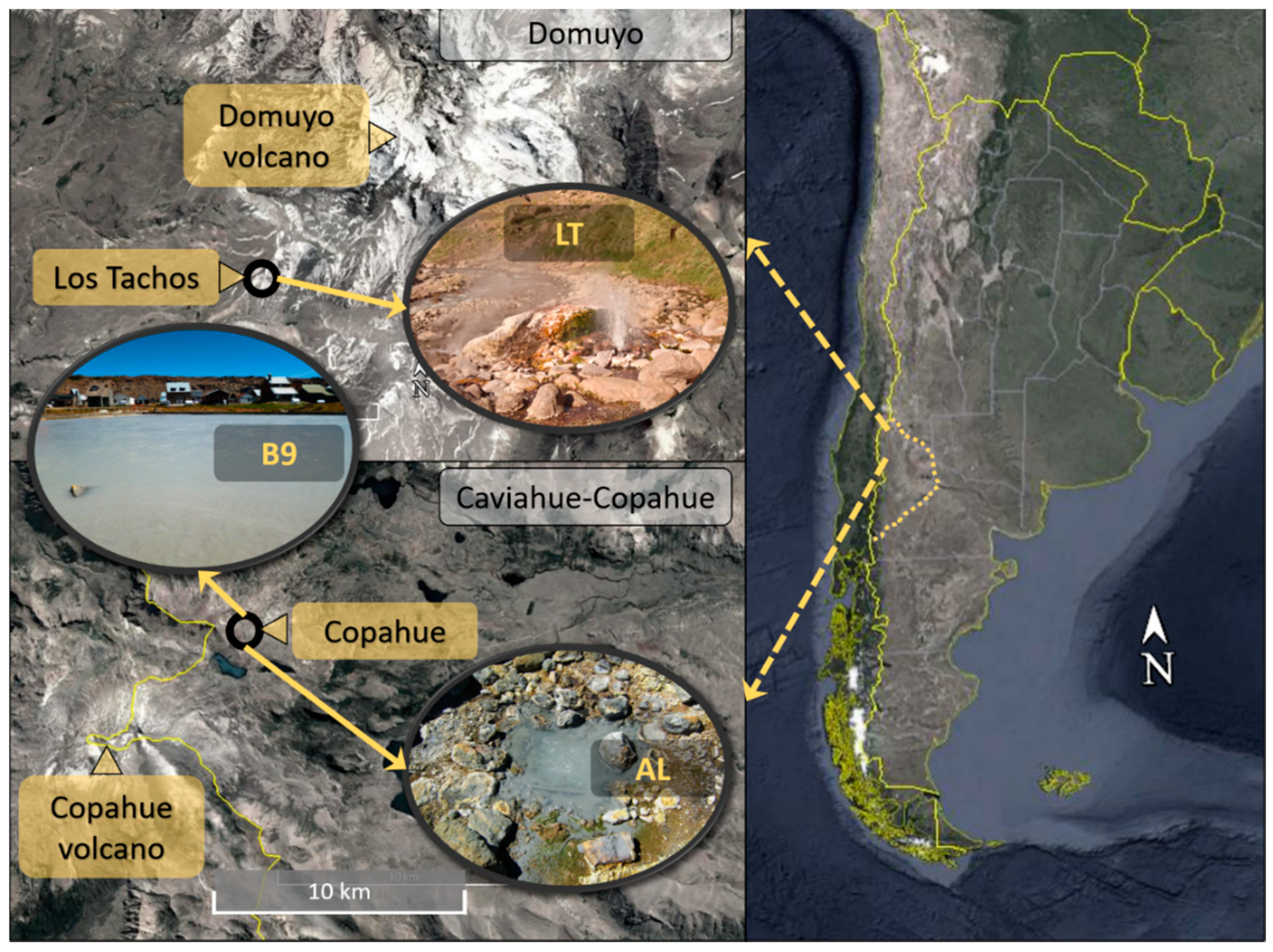 Microorganisms 08 00906 g001 Microorganisms 08 00906 g001