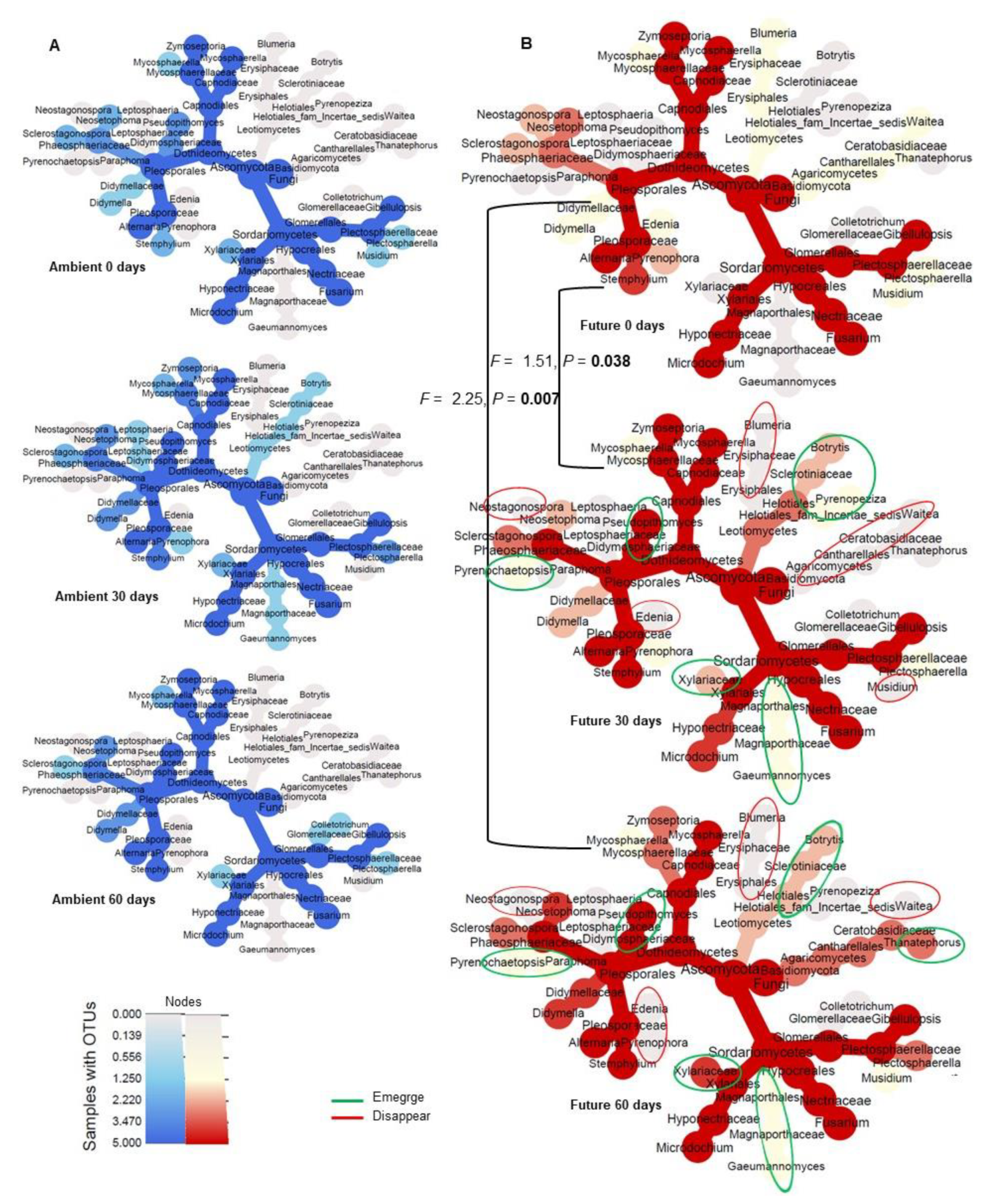 Microorganisms 08 00908 g005