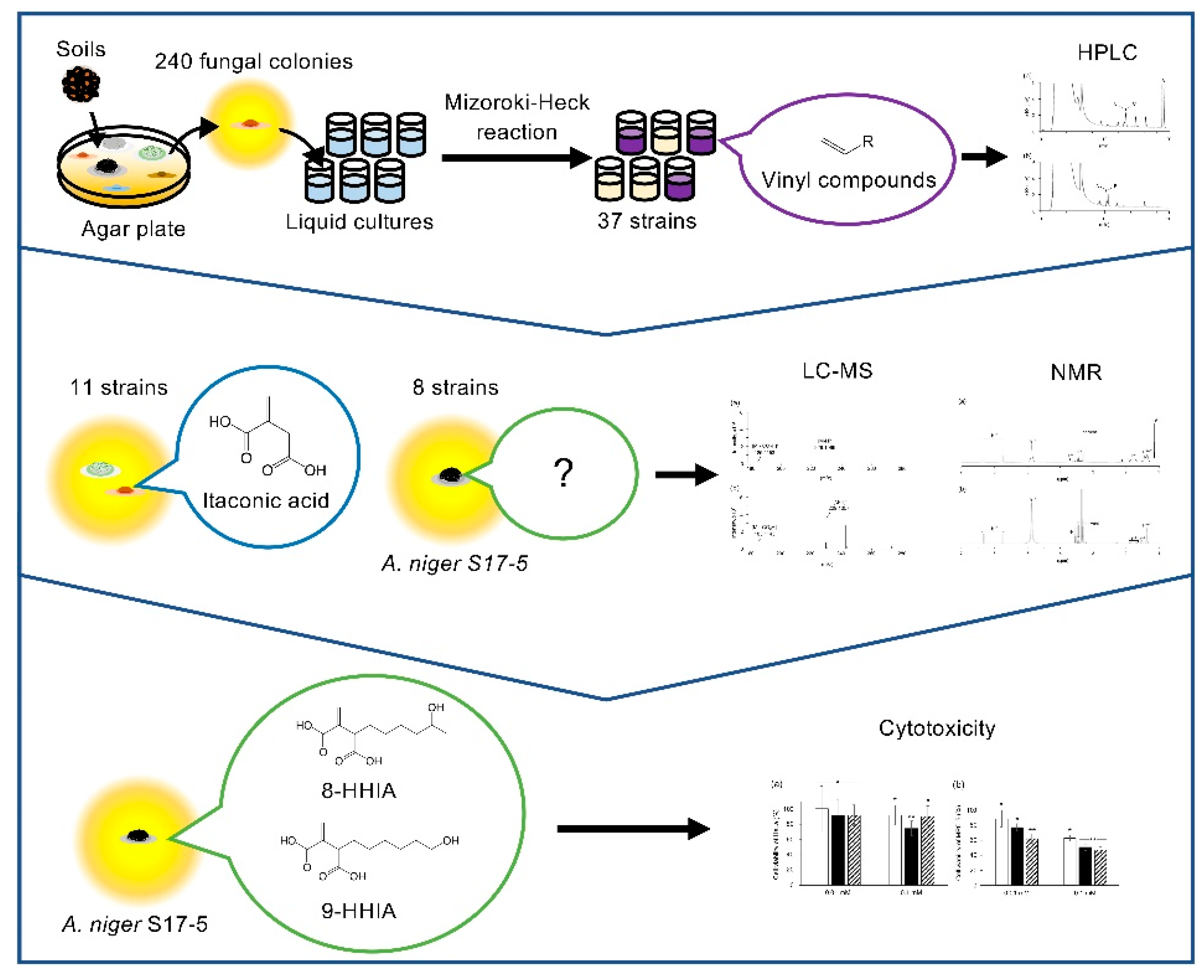 Microorganisms 08 00913 i001