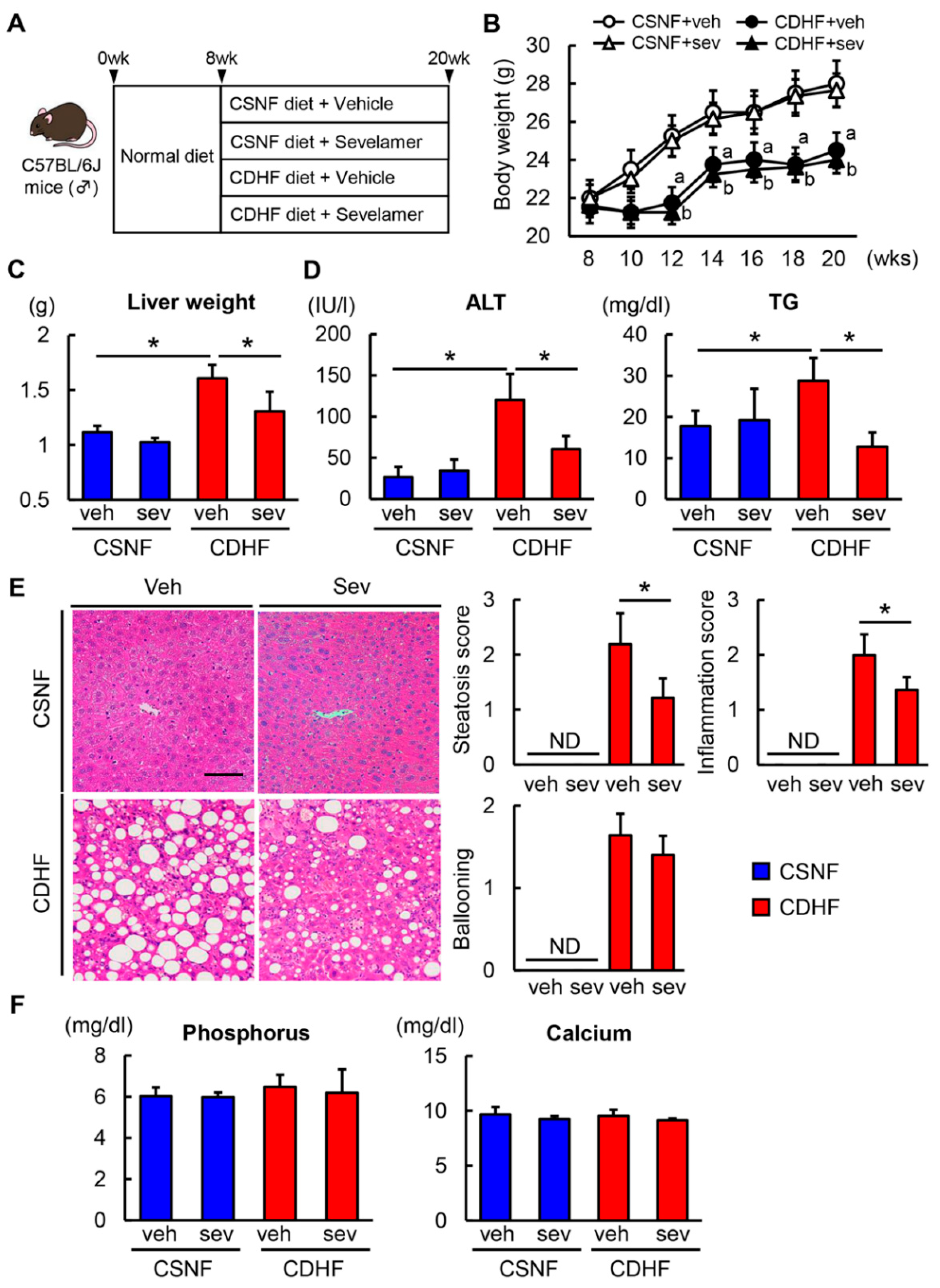 Microorganisms 08 00925 g001 Microorganisms 08 00925 g001