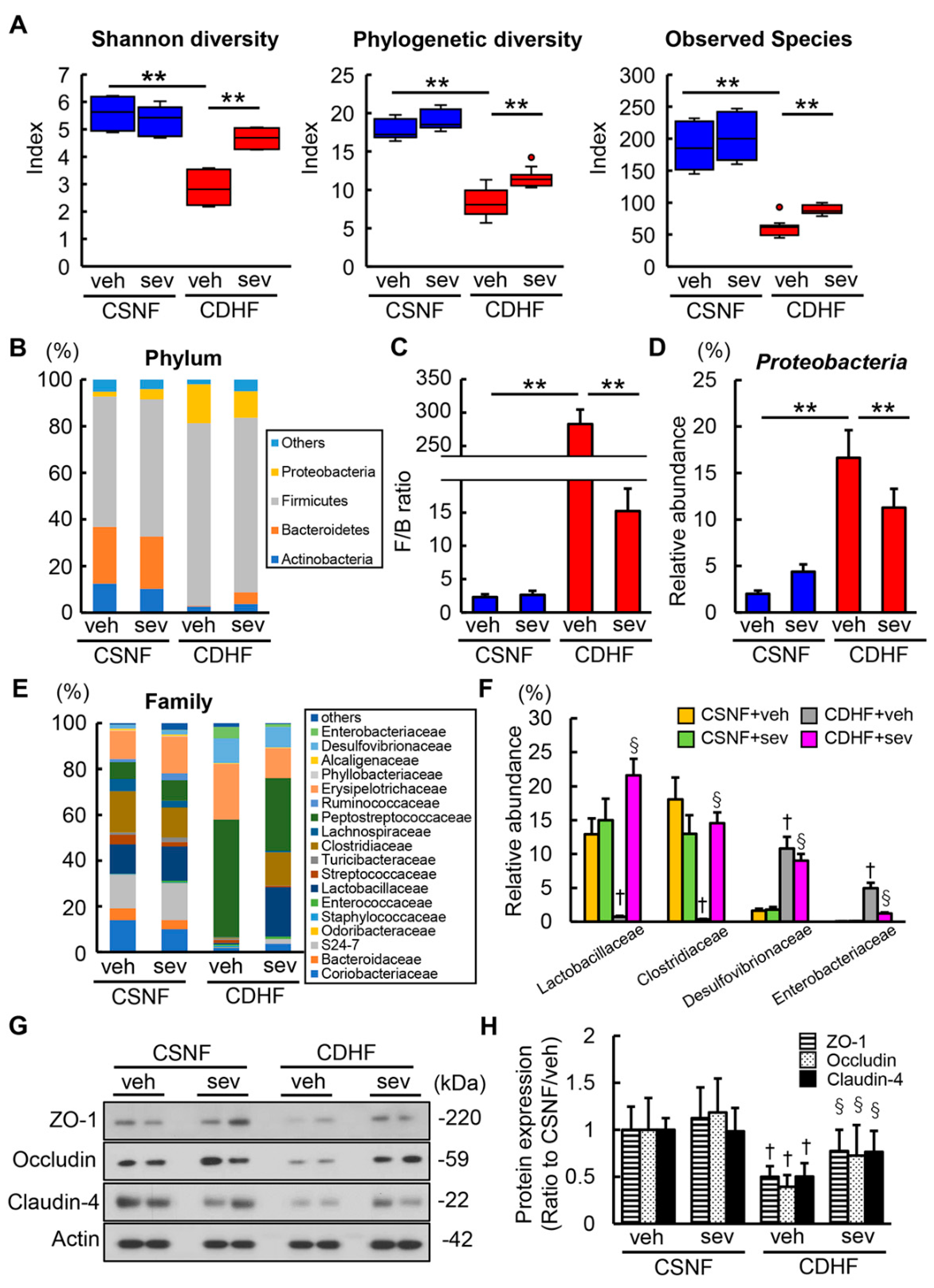 Microorganisms 08 00925 g005 Microorganisms 08 00925 g005