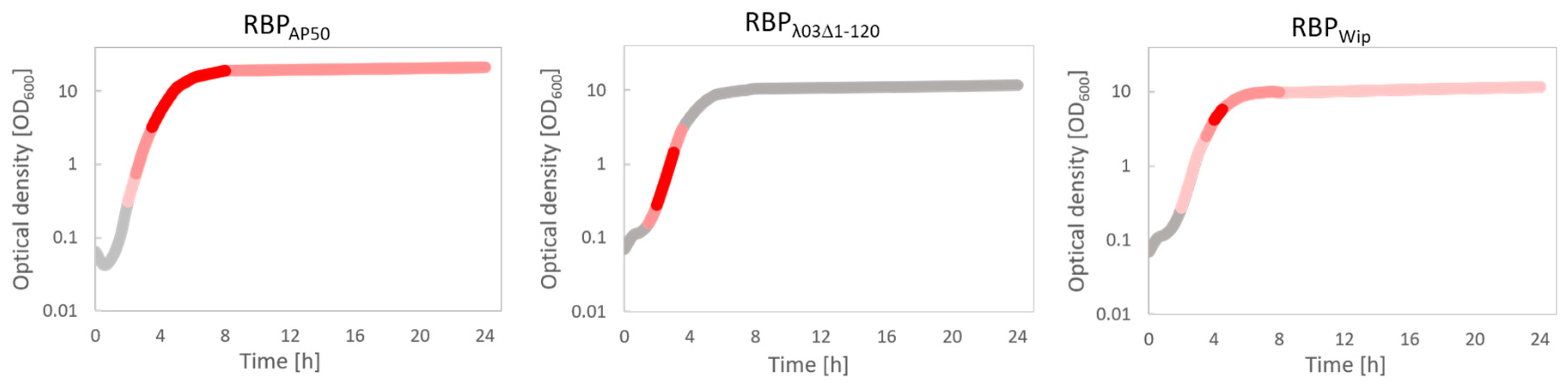 Microorganisms 08 00934 g004