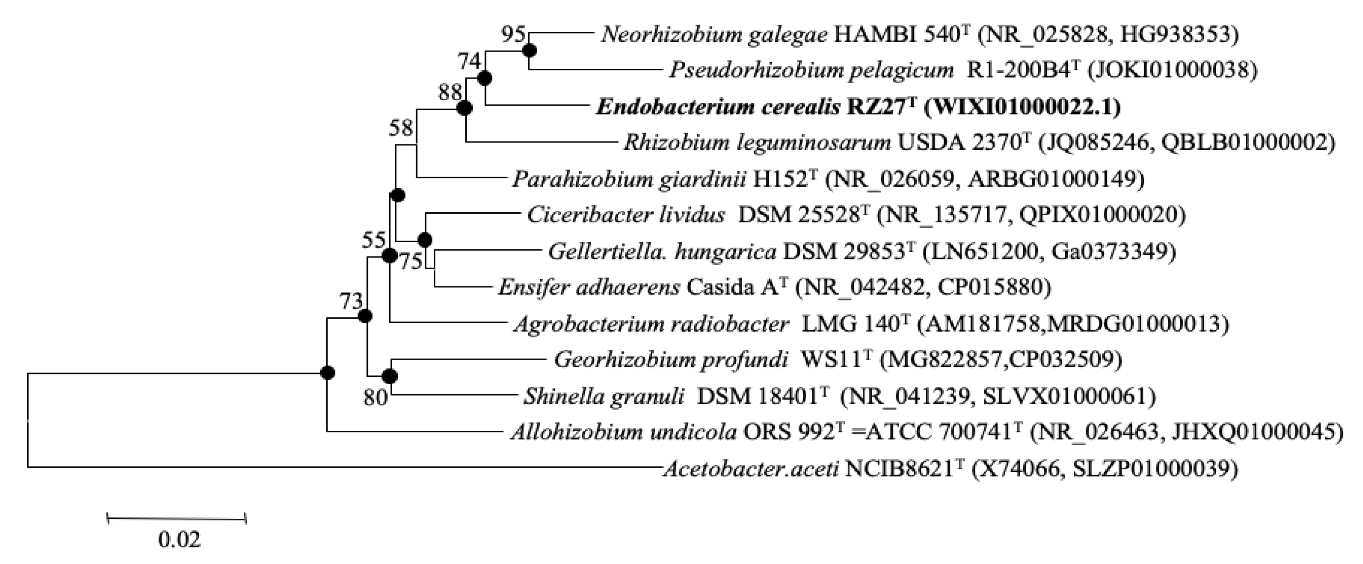 Microorganisms 08 00939 g001