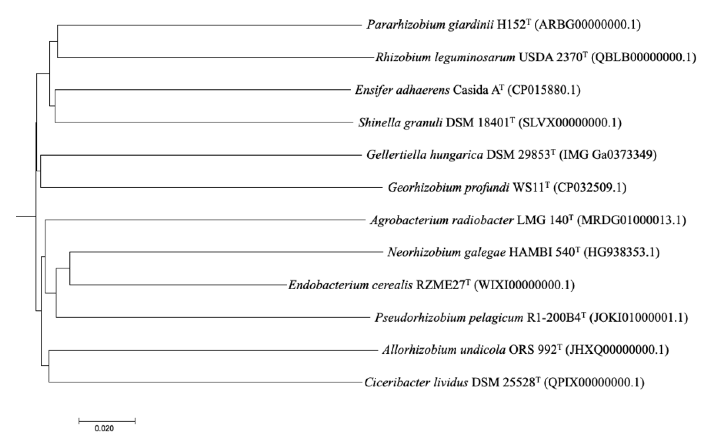 Microorganisms 08 00939 g003