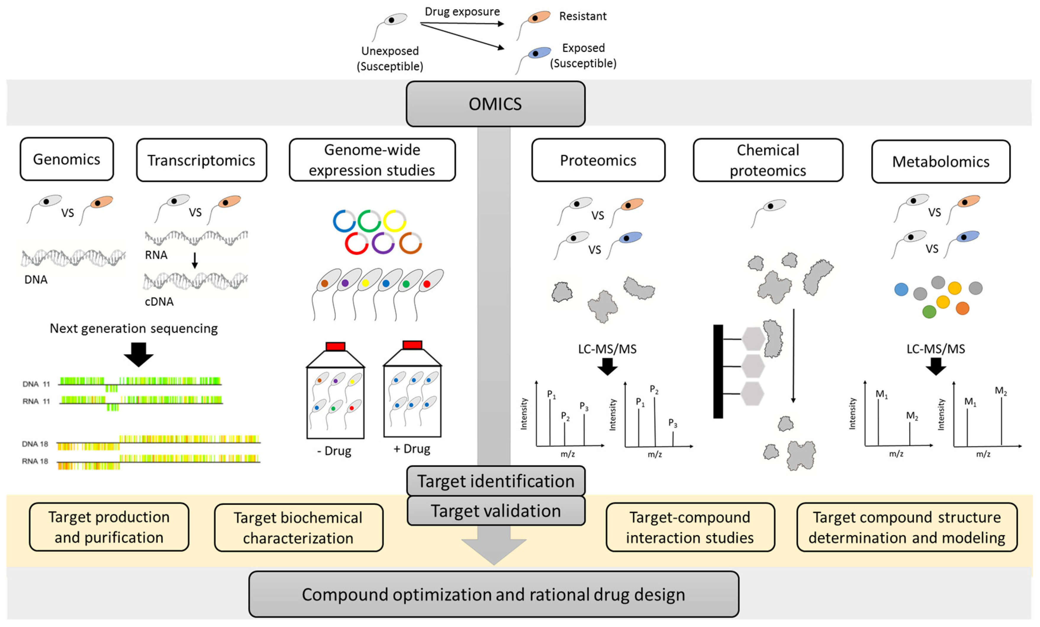 Microorganisms 08 00950 g001