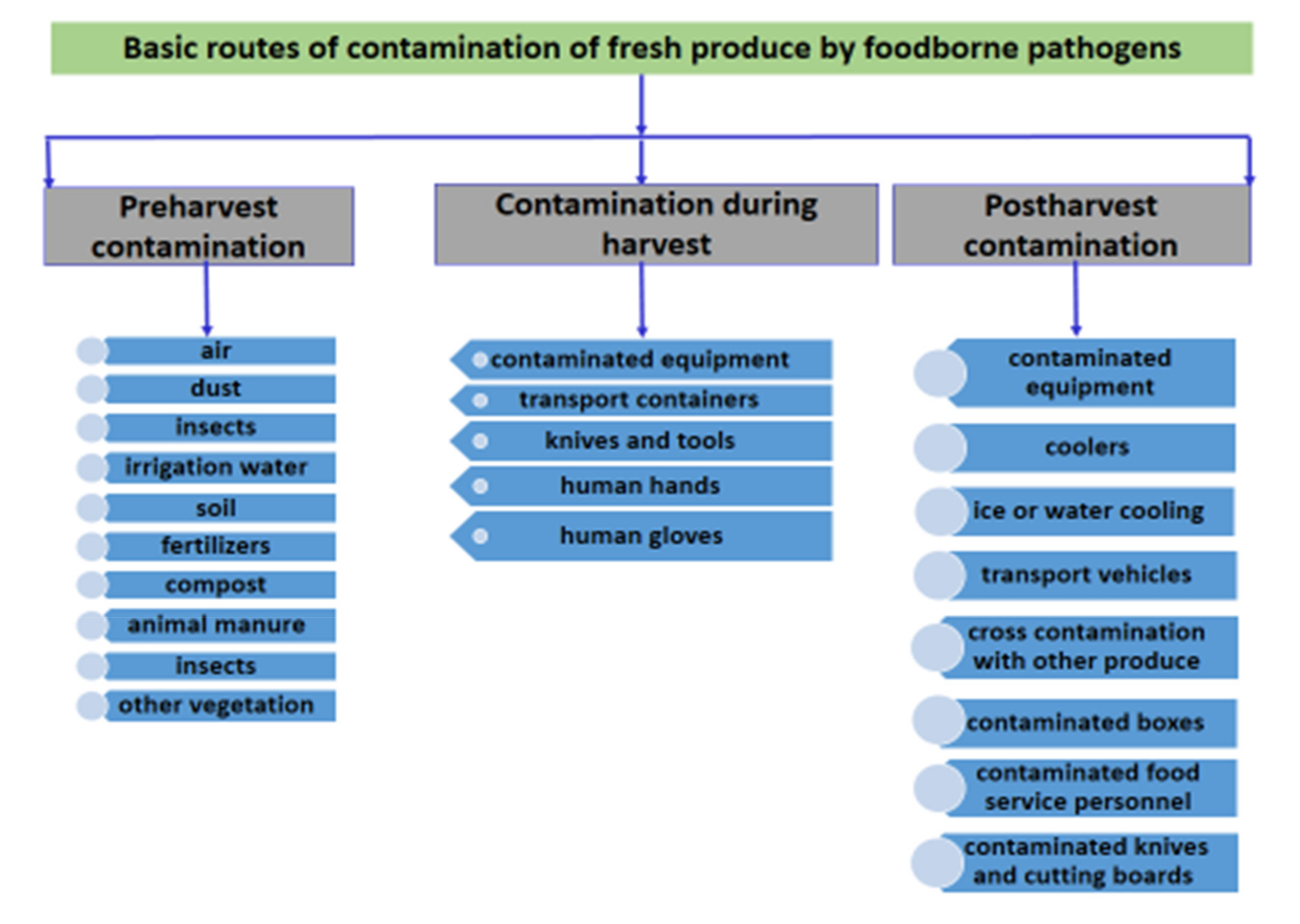 Microorganisms 08 00952 g002 Microorganisms 08 00952 g002