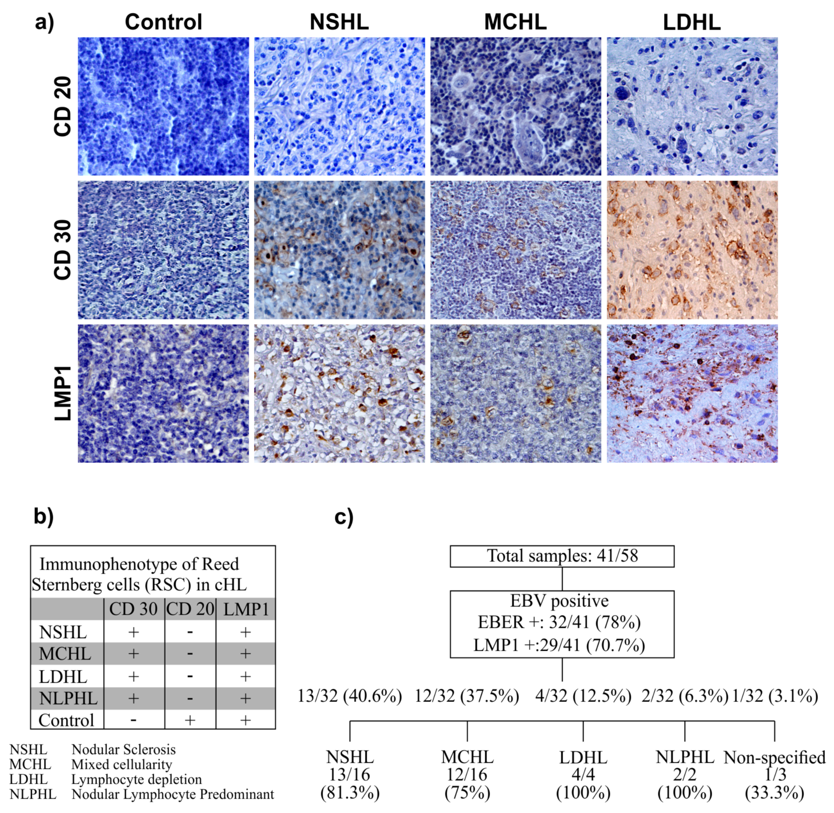 Microorganisms 08 00958 g001 Microorganisms 08 00958 g001