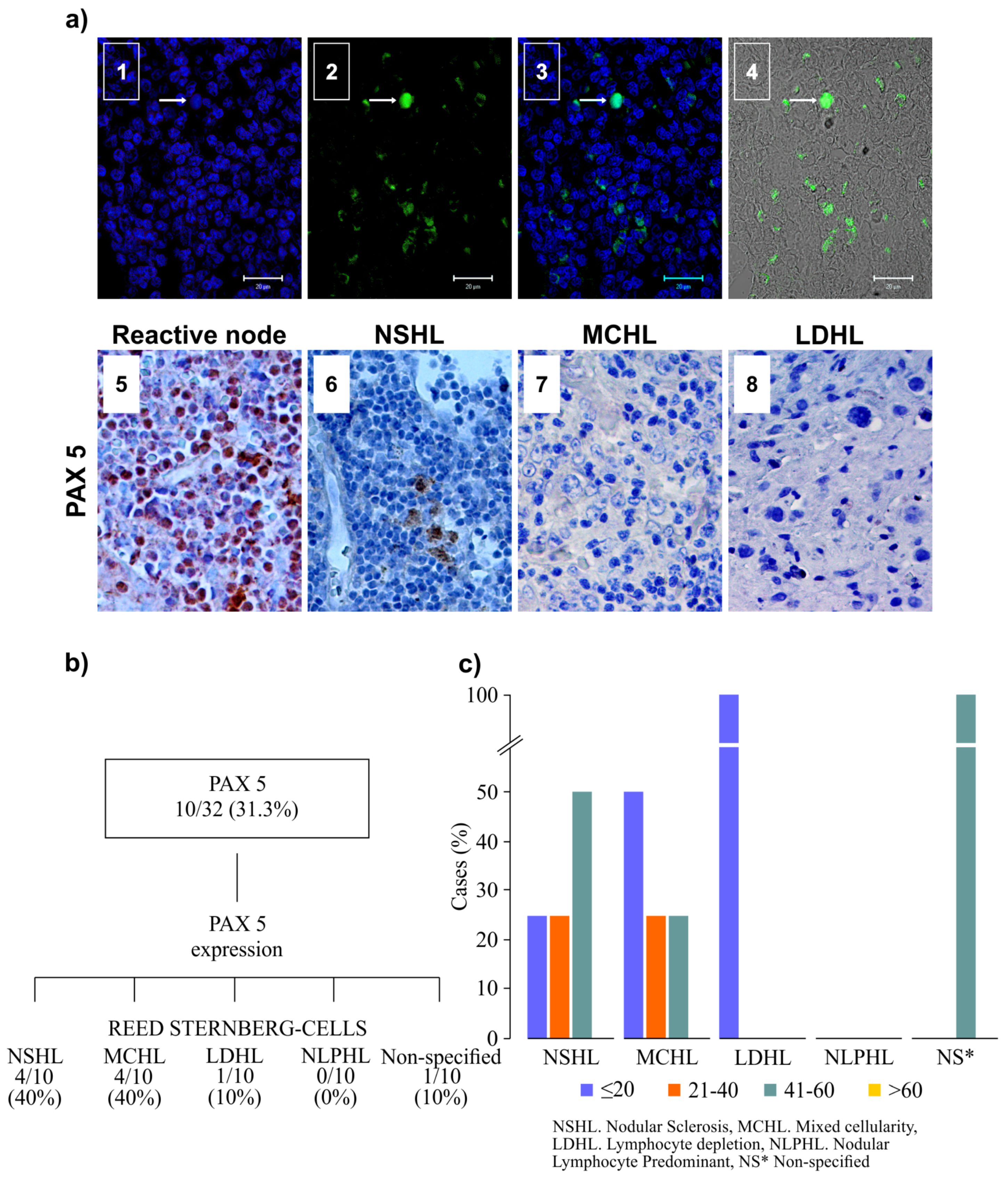 Microorganisms 08 00958 g003 Microorganisms 08 00958 g003