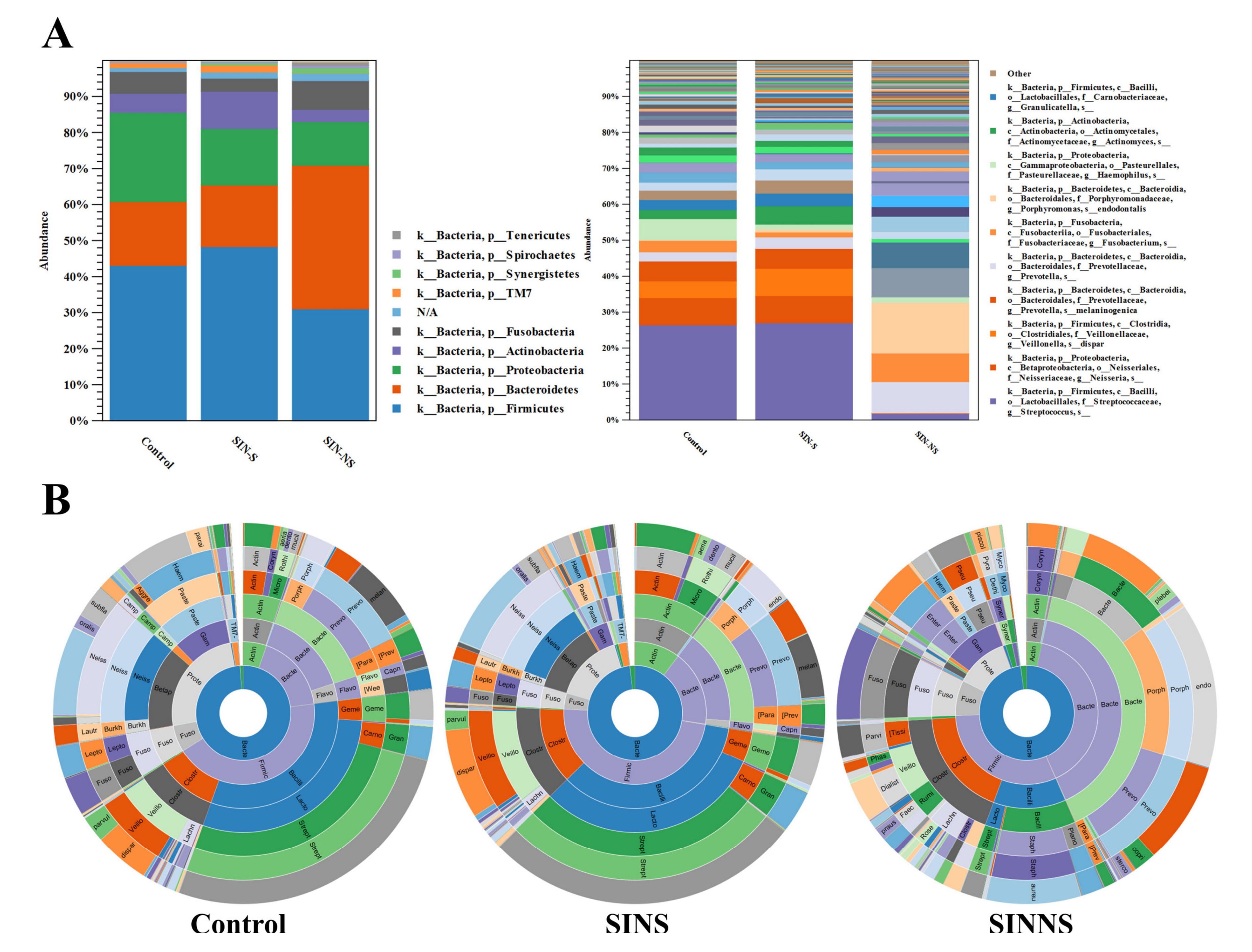 Microorganisms 08 00959 g002