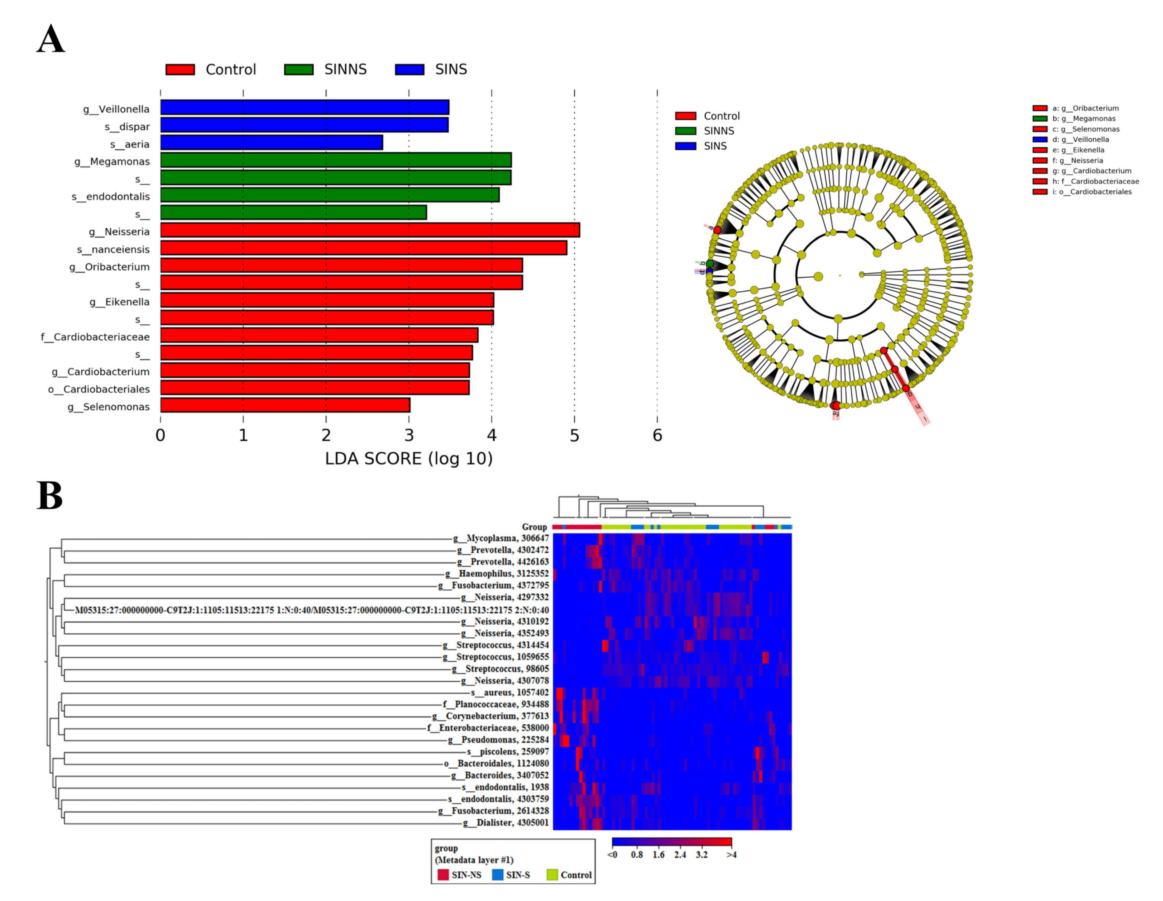Microorganisms 08 00959 g003