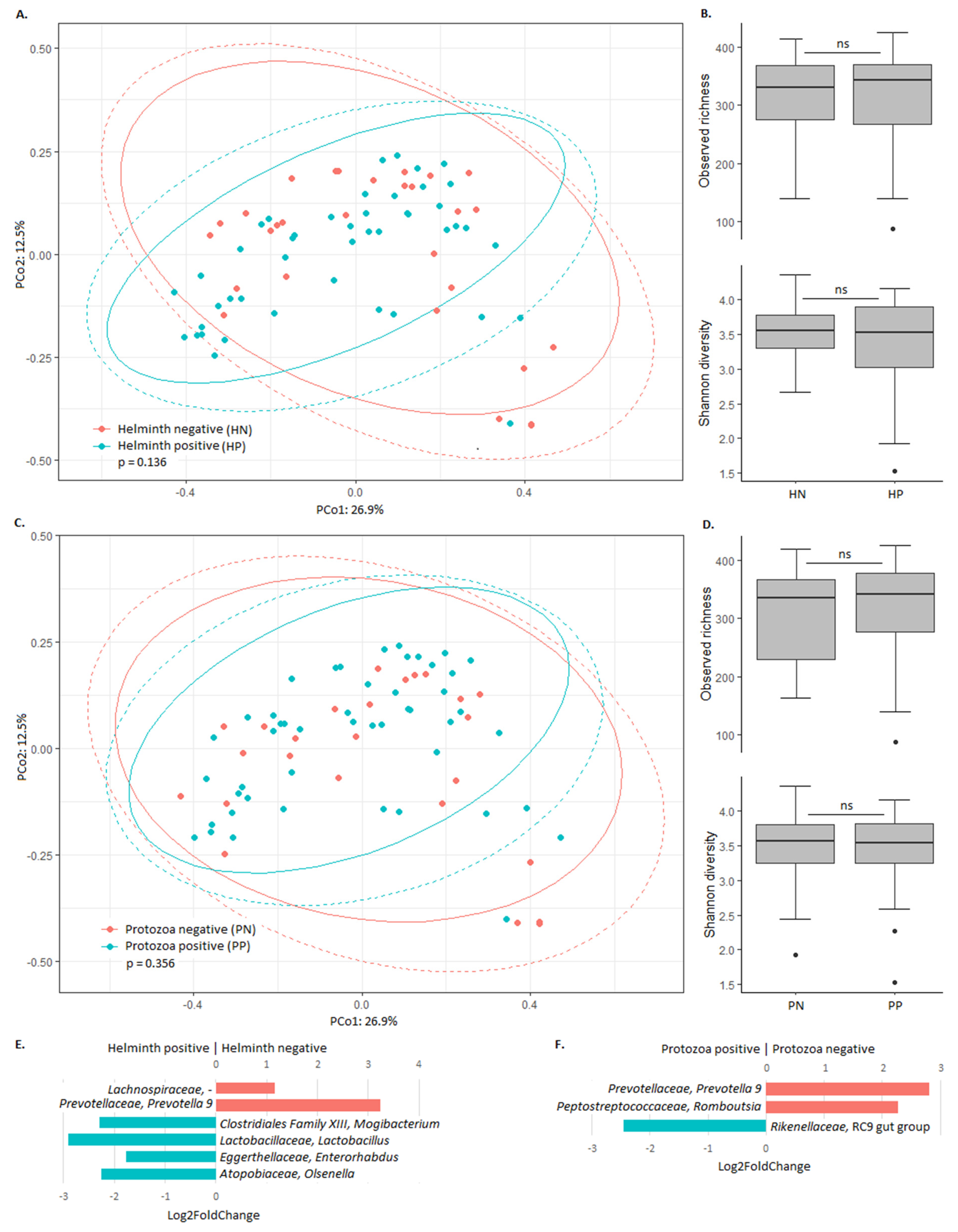 Microorganisms 08 00961 g003 Microorganisms 08 00961 g003