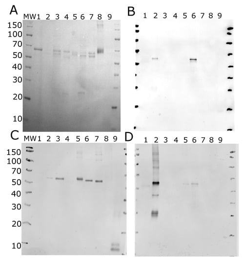 Microorganisms 08 00963 g0a1