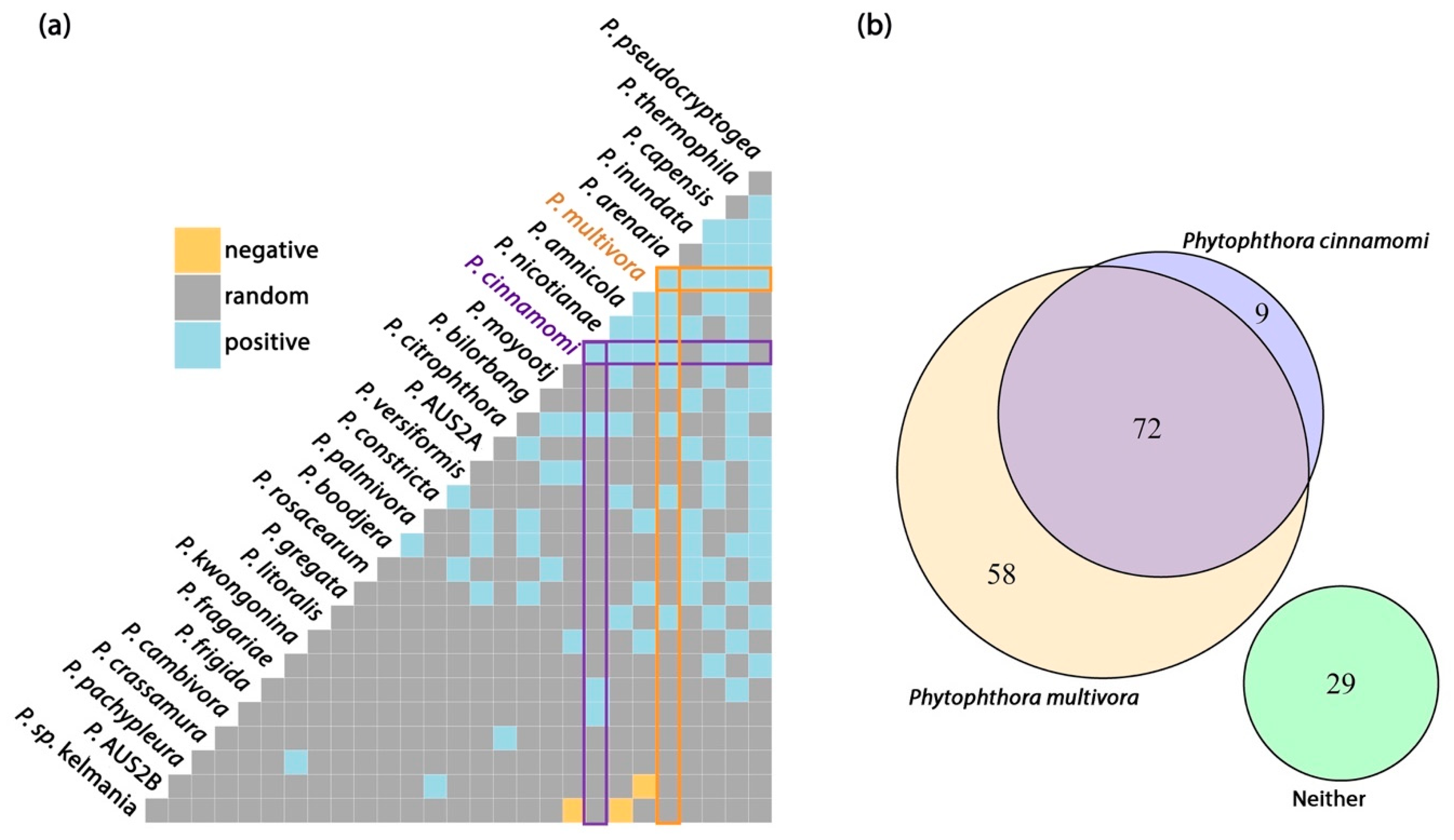 Microorganisms 08 00973 g004 Microorganisms 08 00973 g004