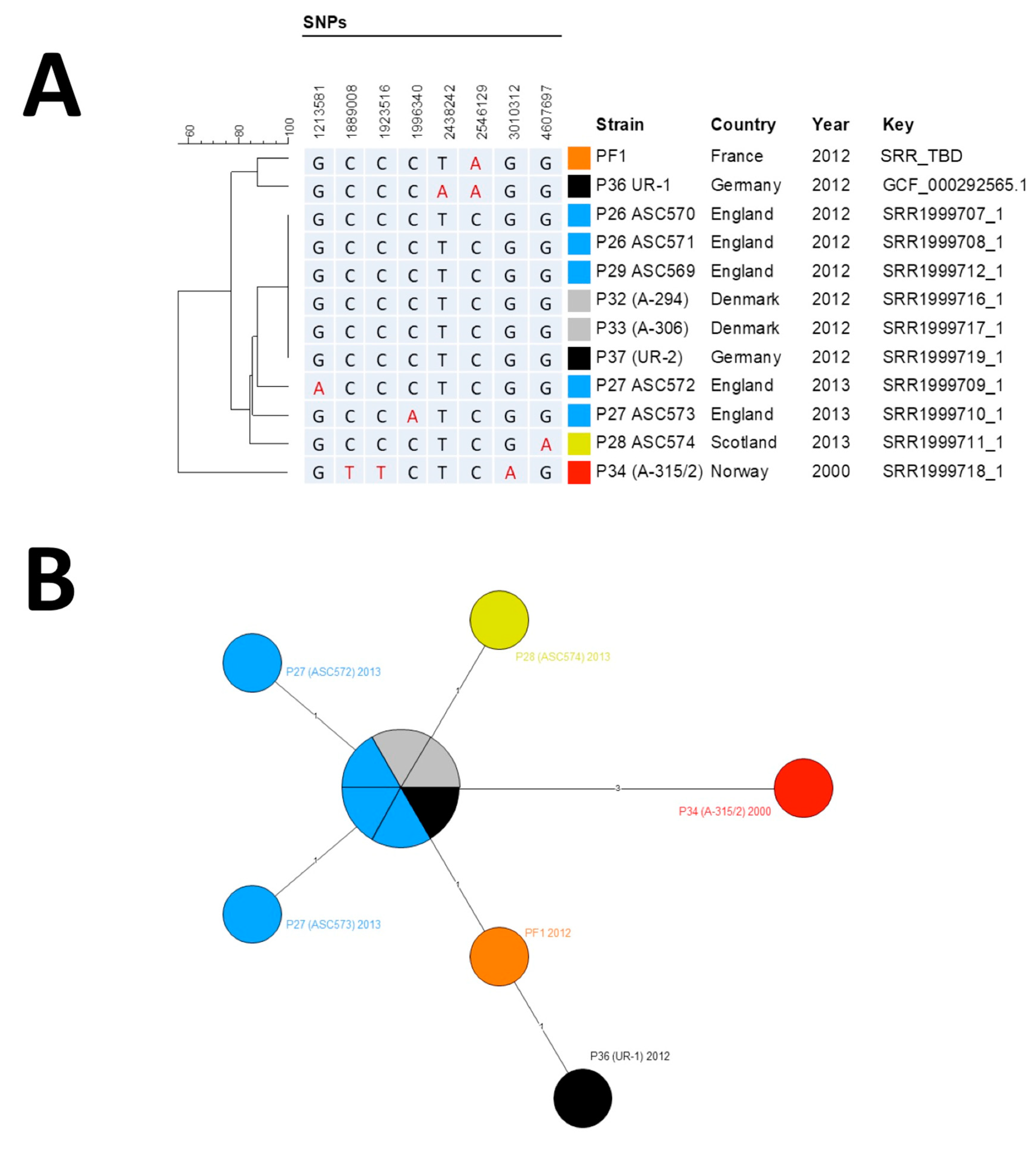 Microorganisms 08 00985 g002