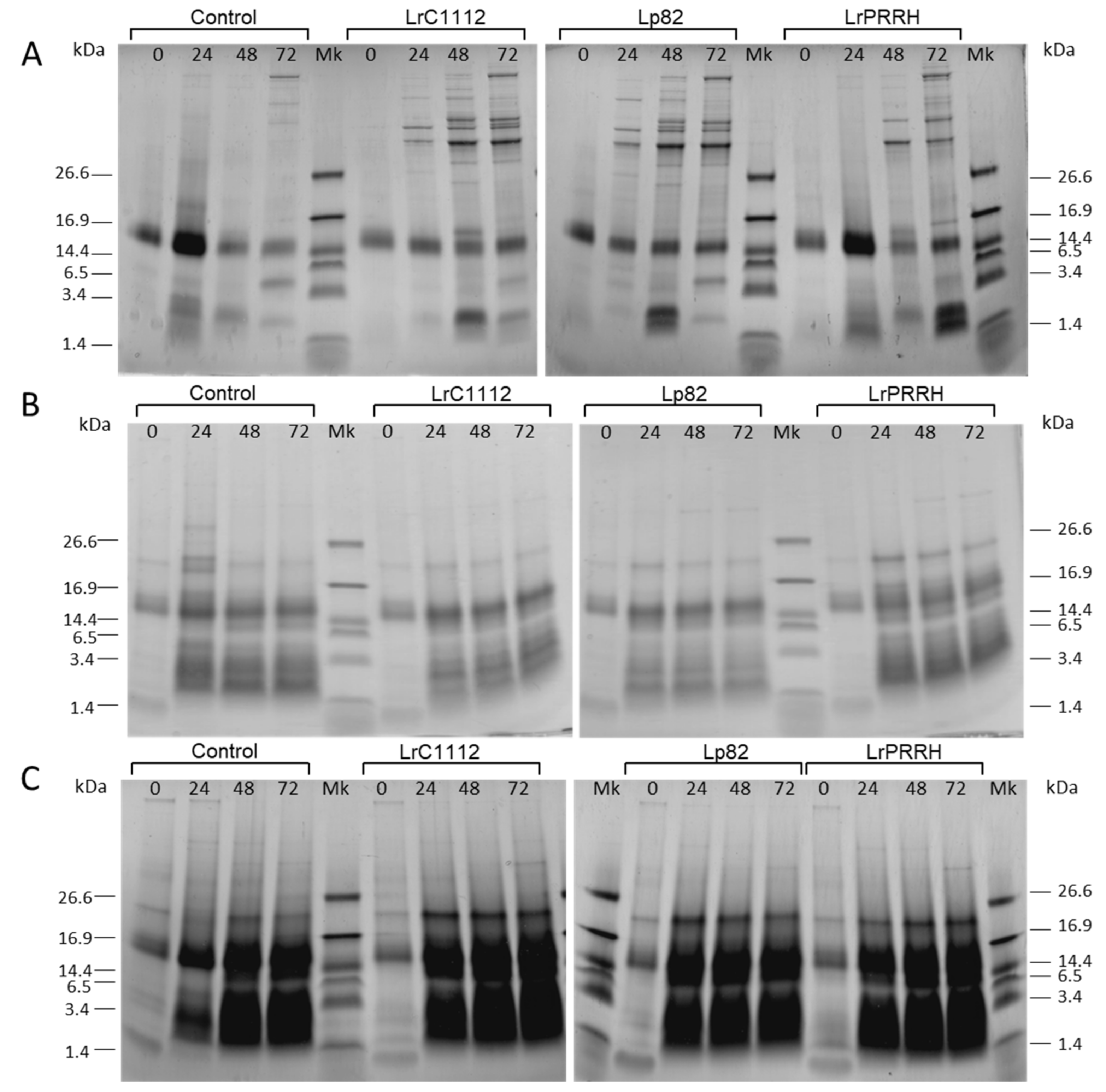Microorganisms 08 00986 g001