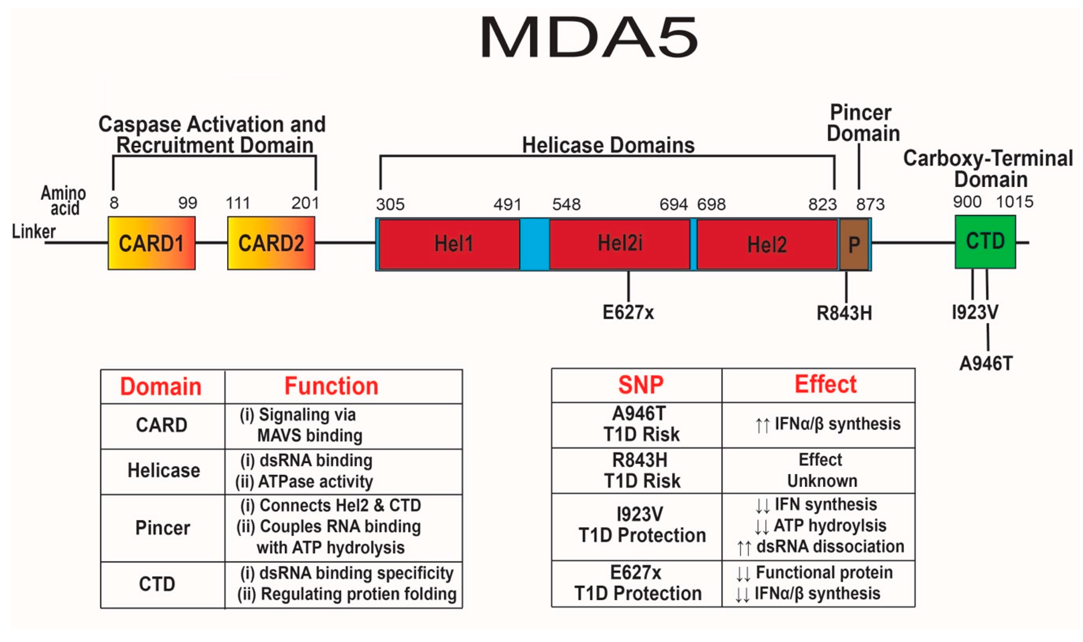 Microorganisms 08 00993 g002