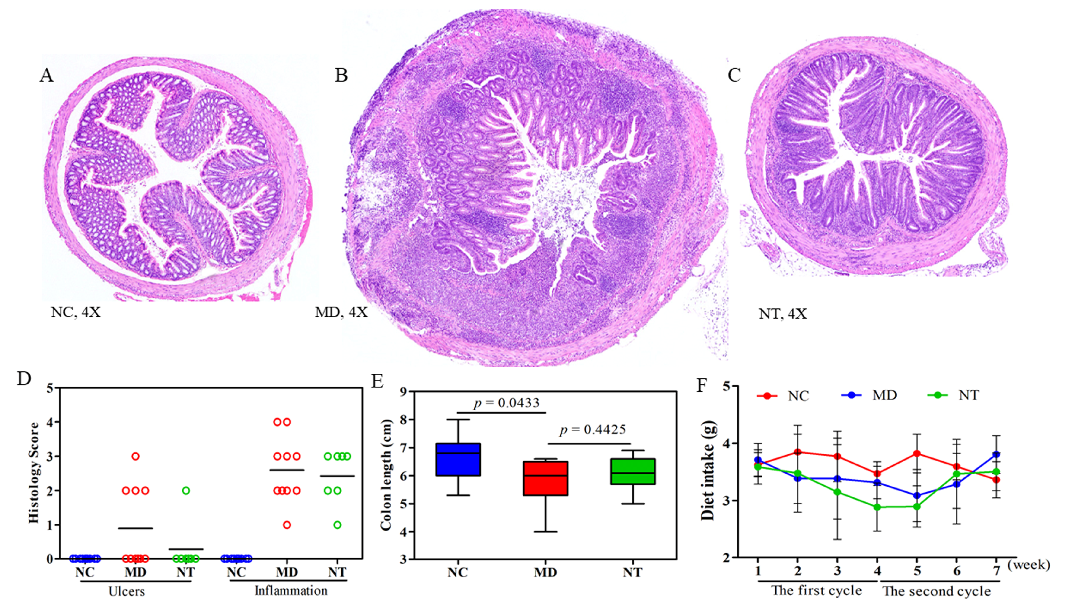 Microorganisms 08 00995 g001