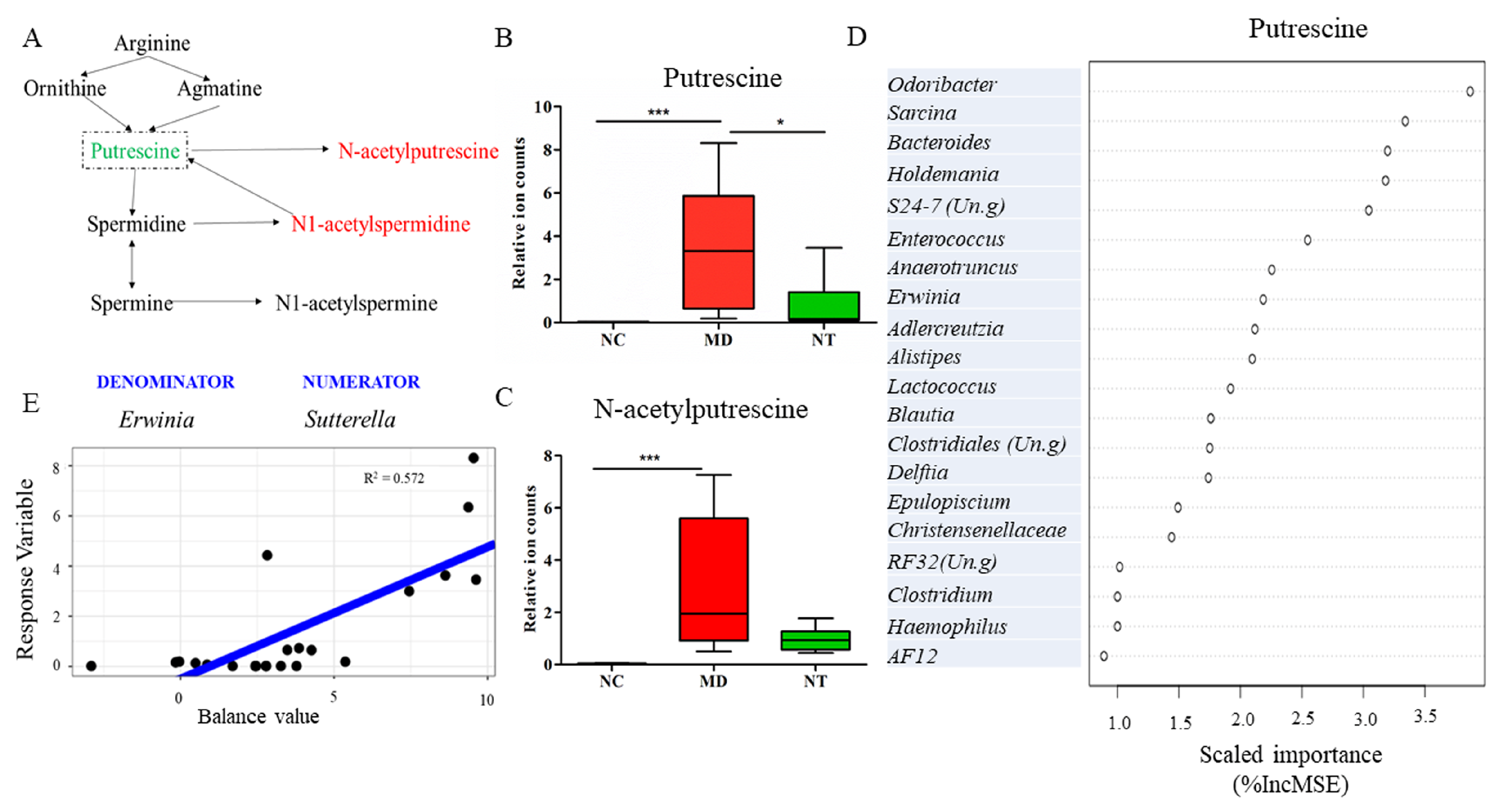Microorganisms 08 00995 g008