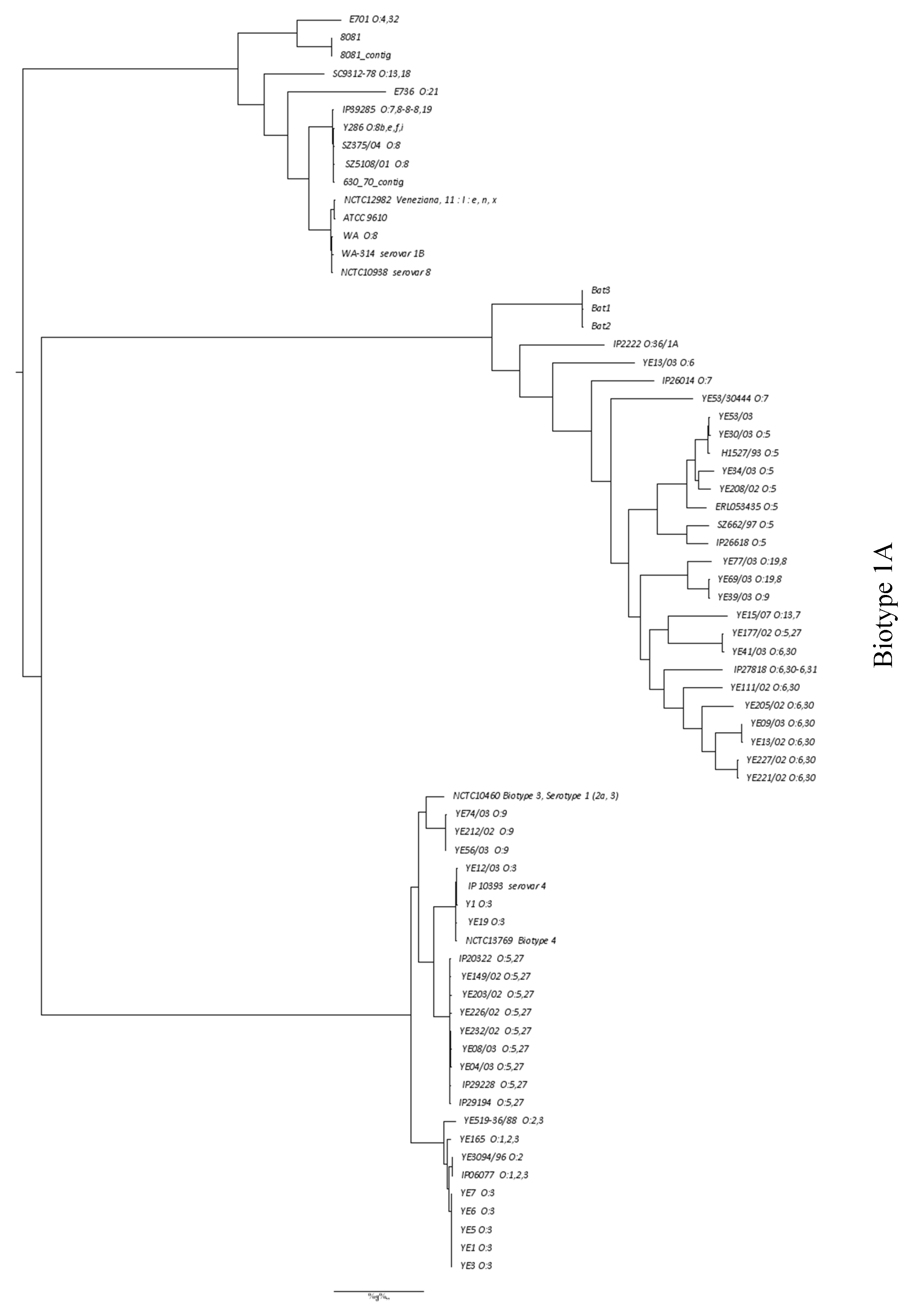 Microorganisms 08 01000 g003