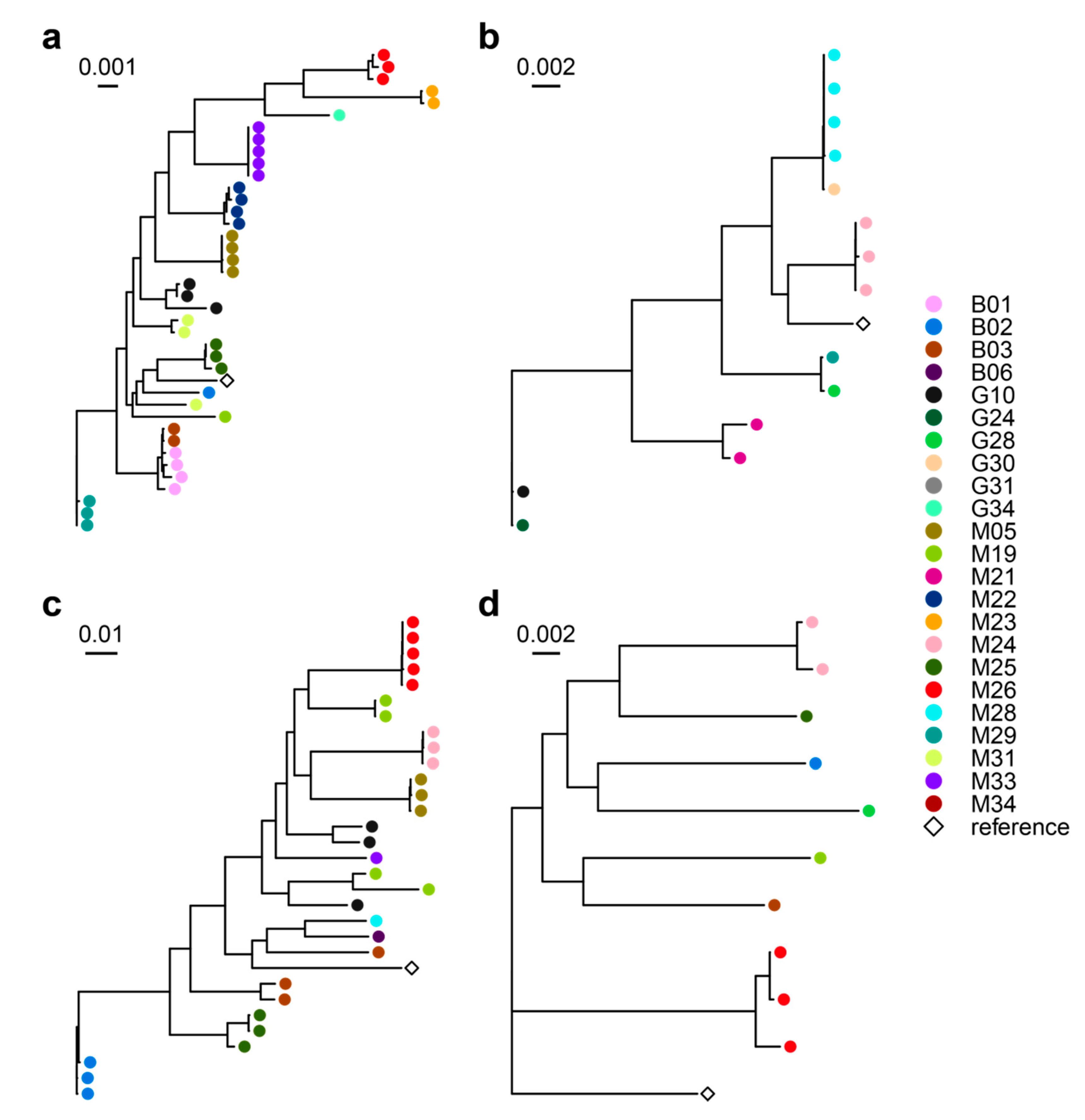 Microorganisms 08 01003 g002 Microorganisms 08 01003 g002