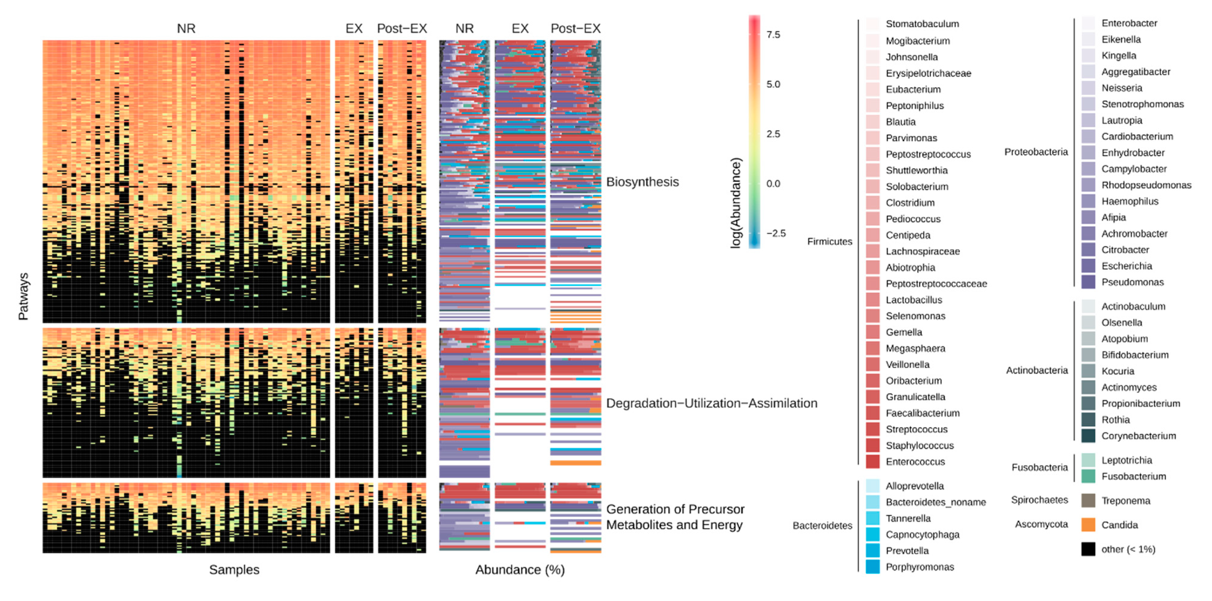 Microorganisms 08 01003 g003 Microorganisms 08 01003 g003