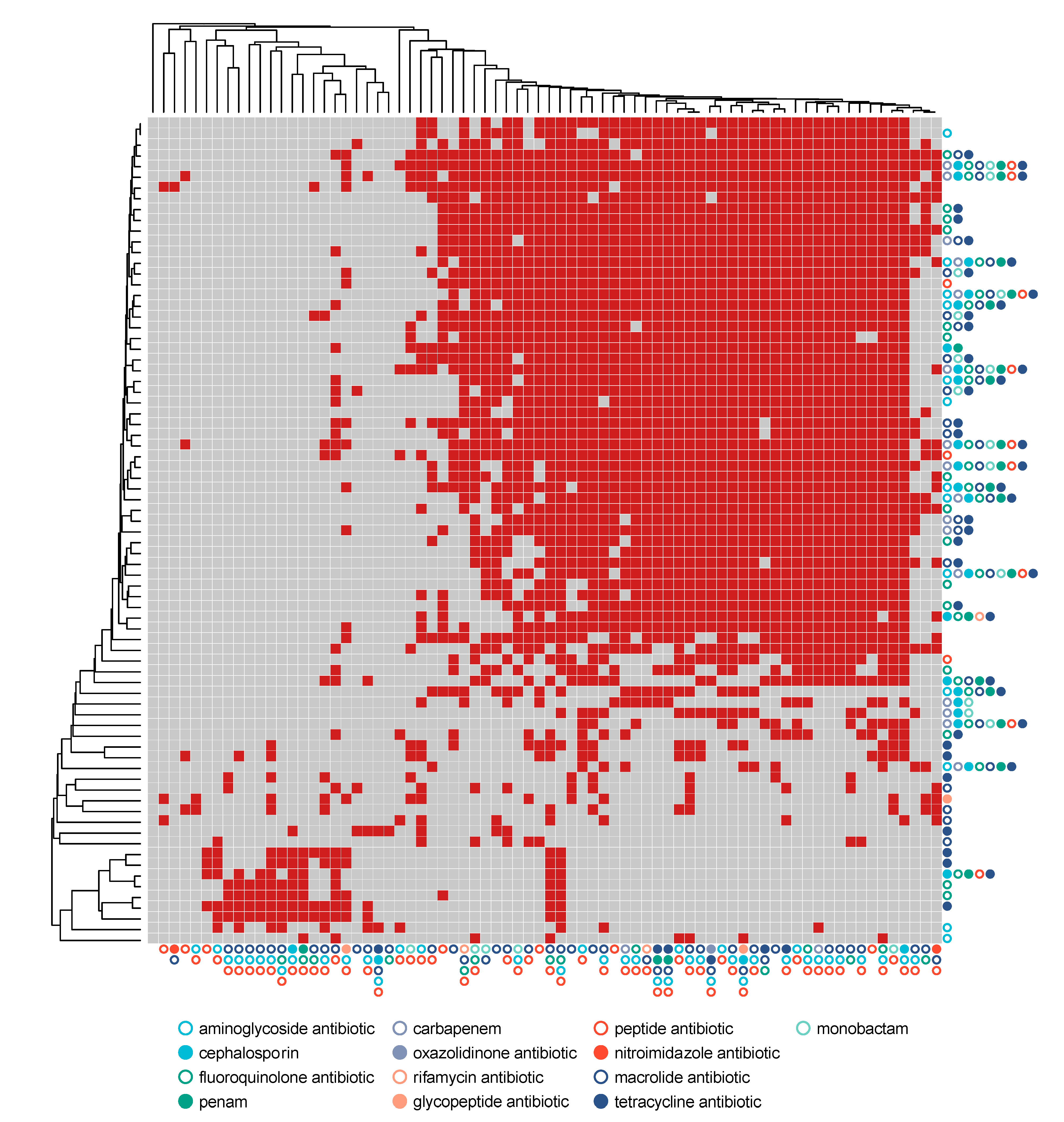 Microorganisms 08 01003 g005 Microorganisms 08 01003 g005