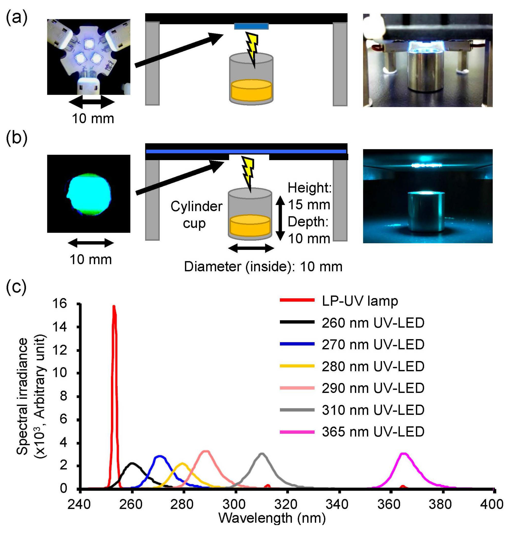 Microorganisms 08 01014 g001