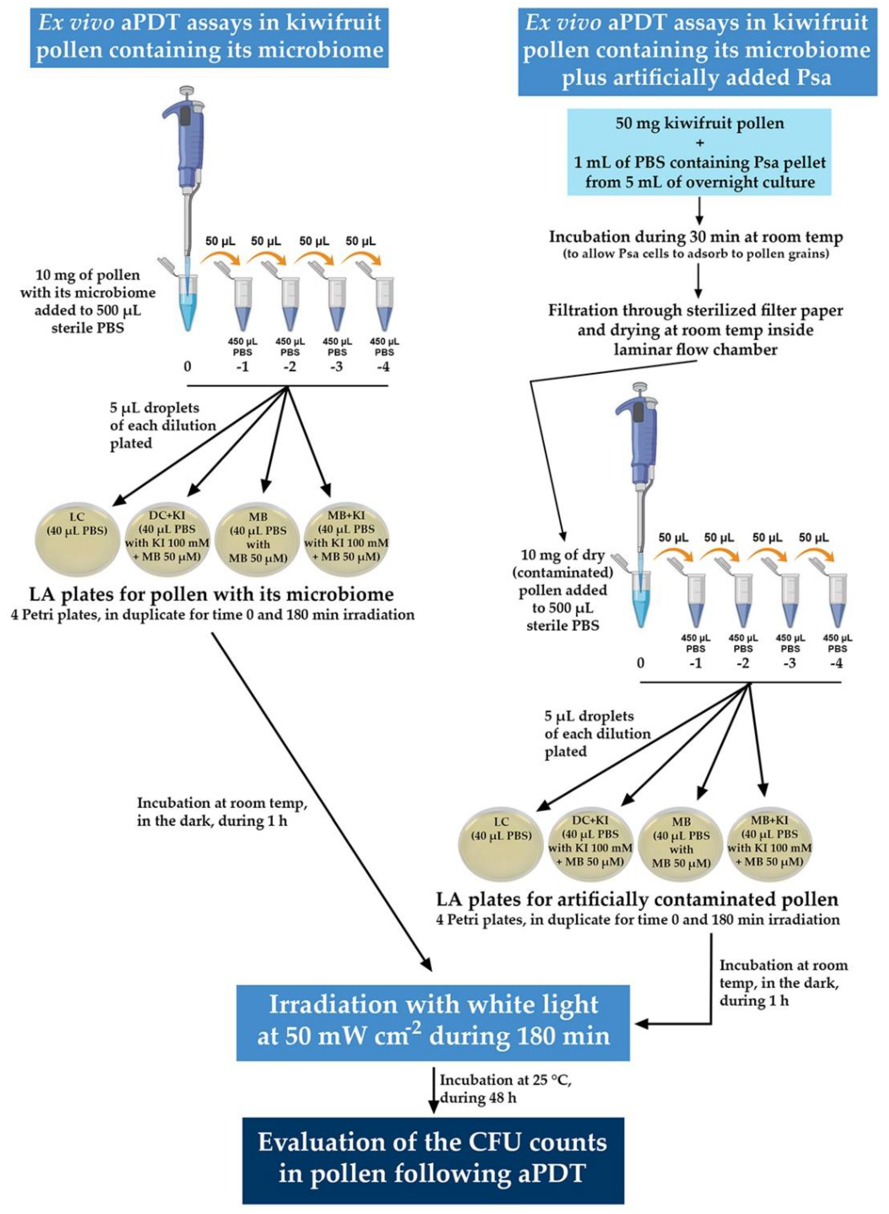 Microorganisms 08 01022 g003