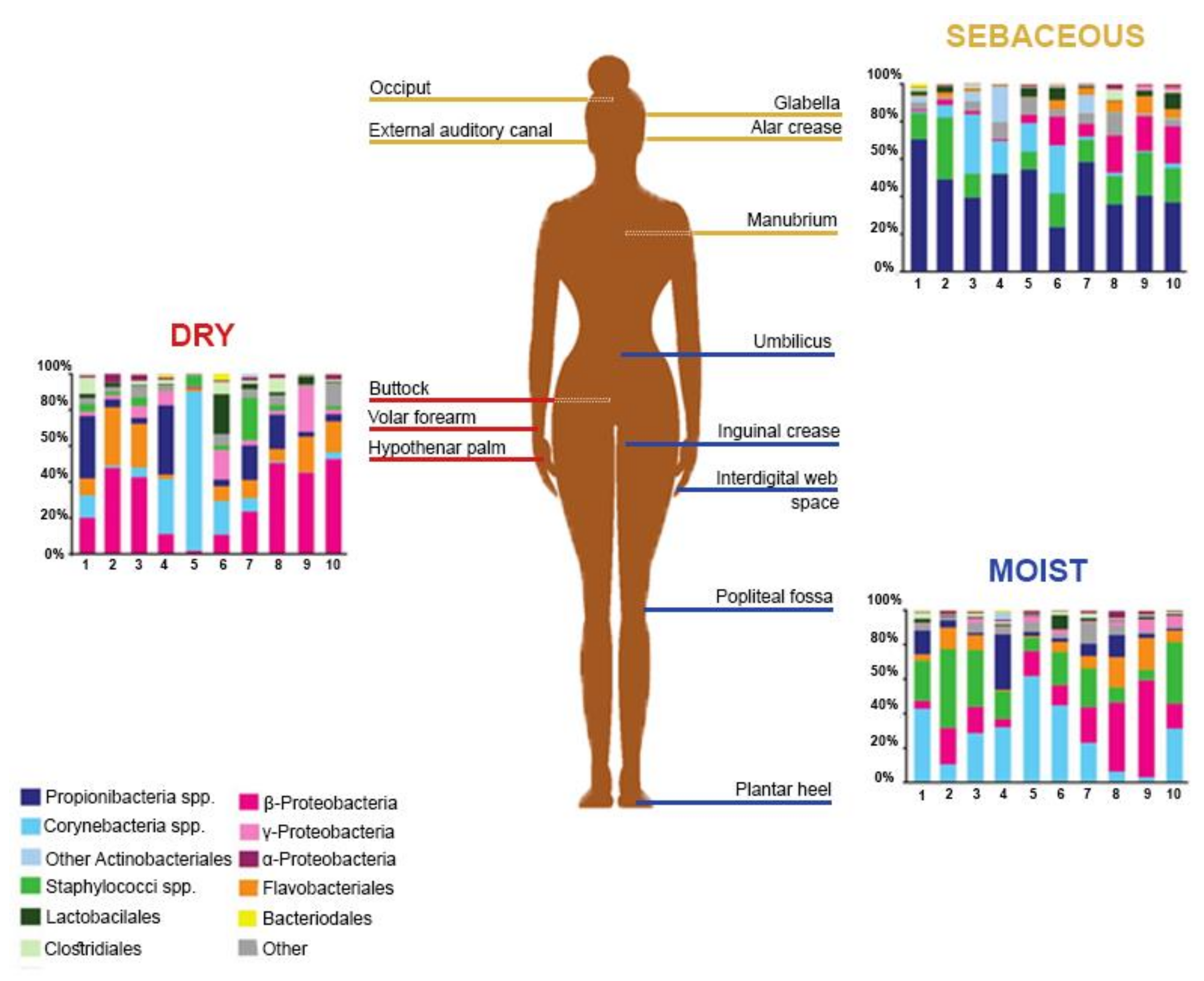 Microorganisms 08 01023 g001 Microorganisms 08 01023 g001