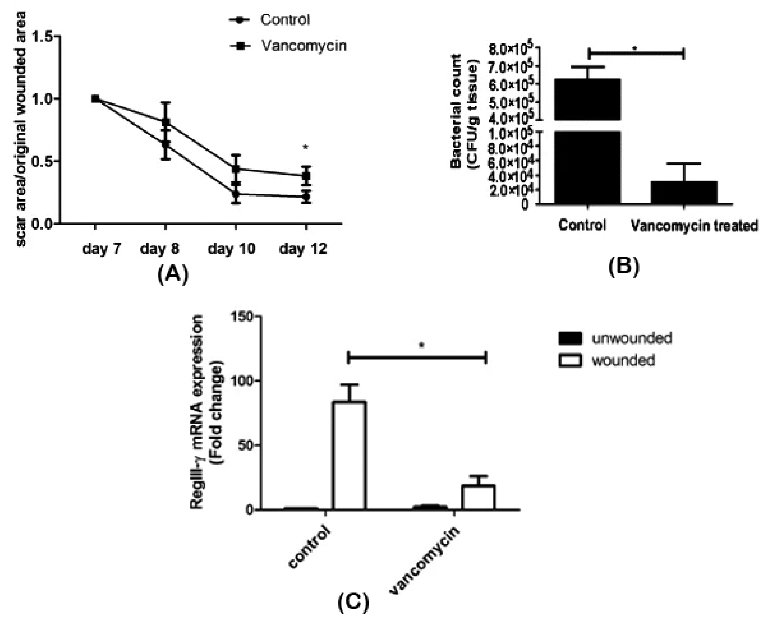 Microorganisms 08 01023 g004 Microorganisms 08 01023 g004