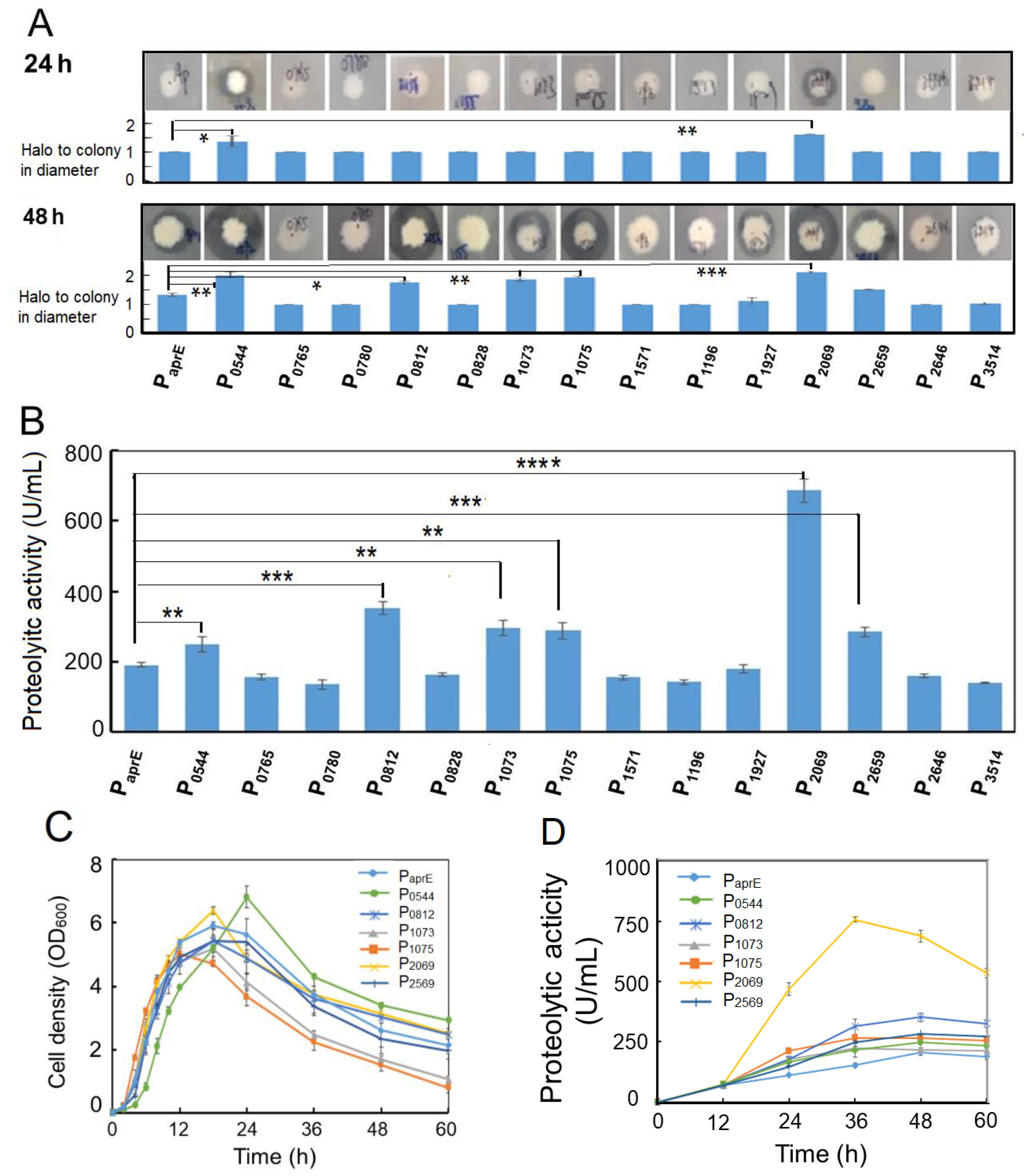 Microorganisms 08 01030 g001a