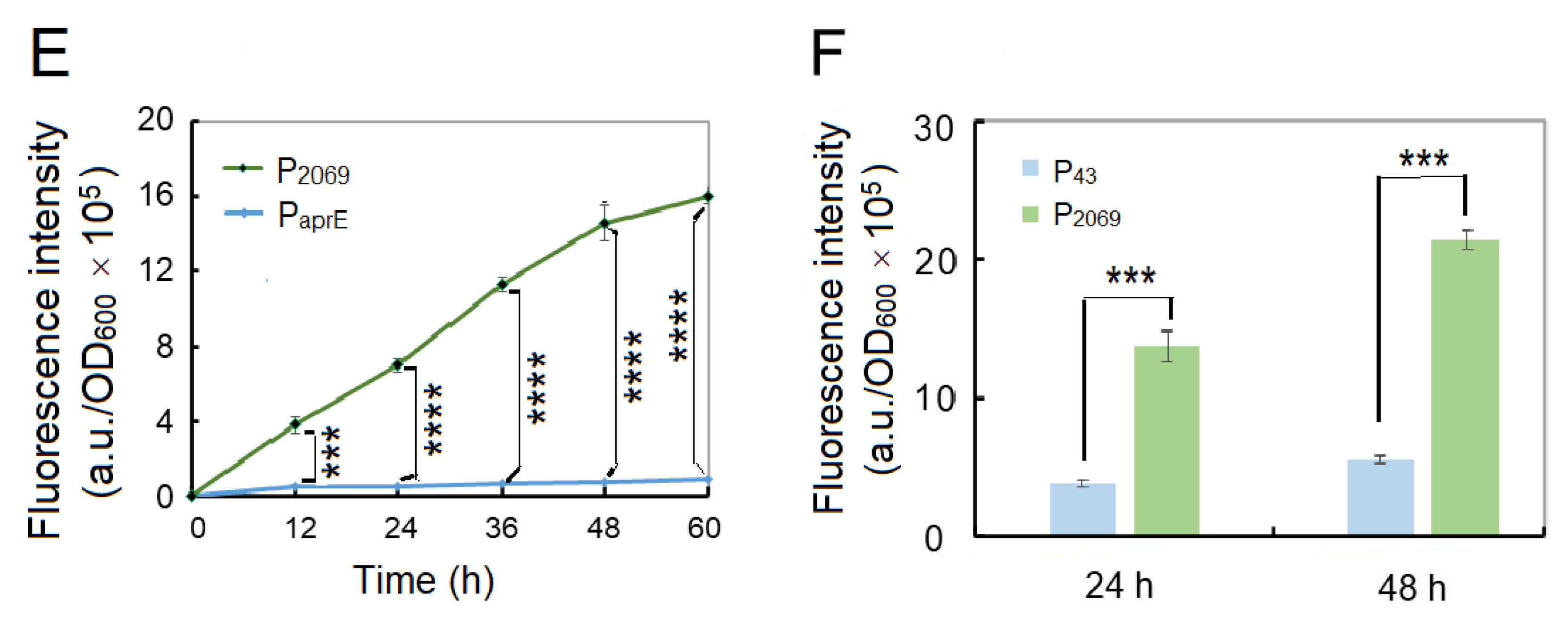 Microorganisms 08 01030 g001b